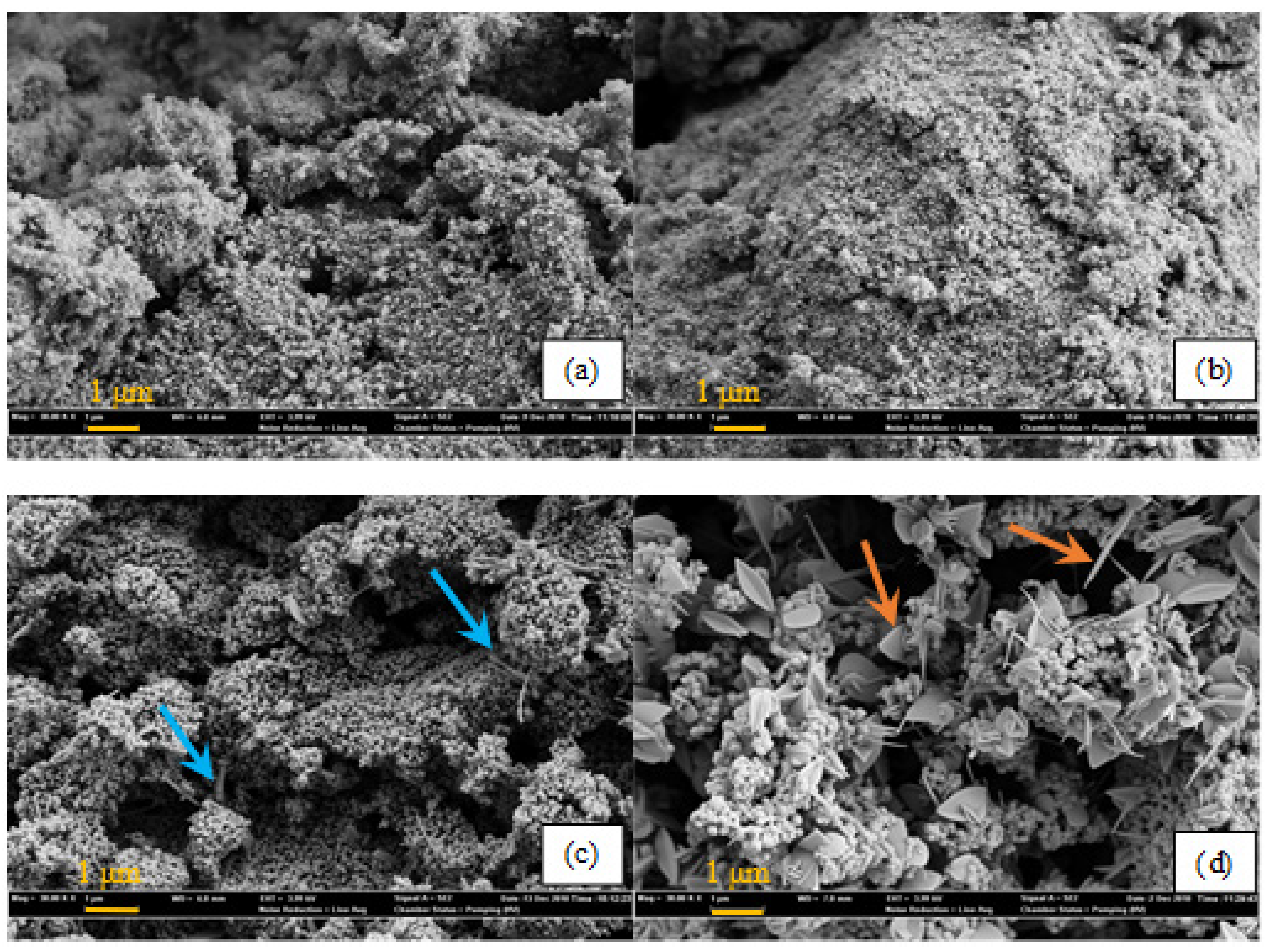 Molecules 30 02436 g008