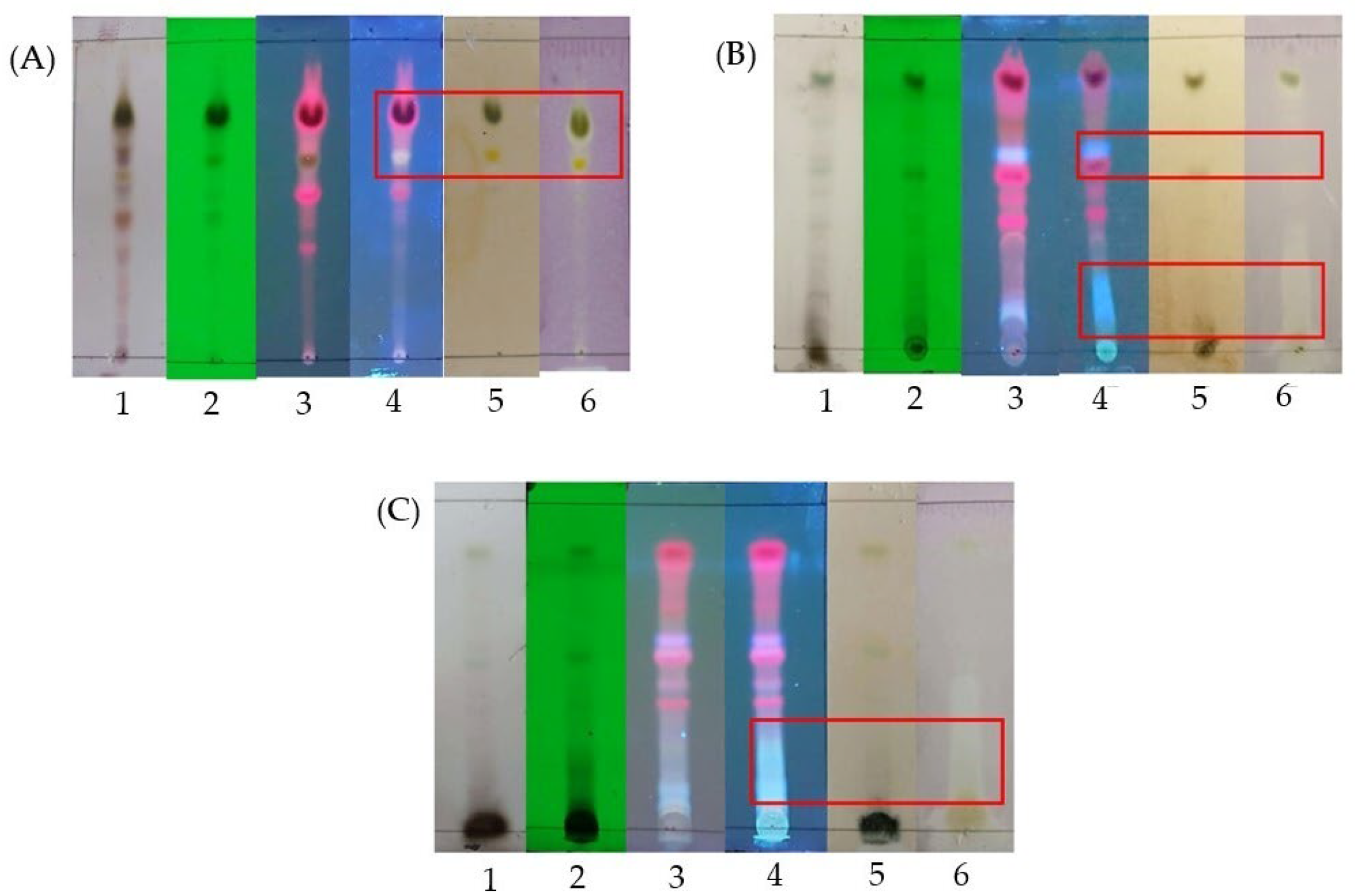 Molecules 30 02442 g001