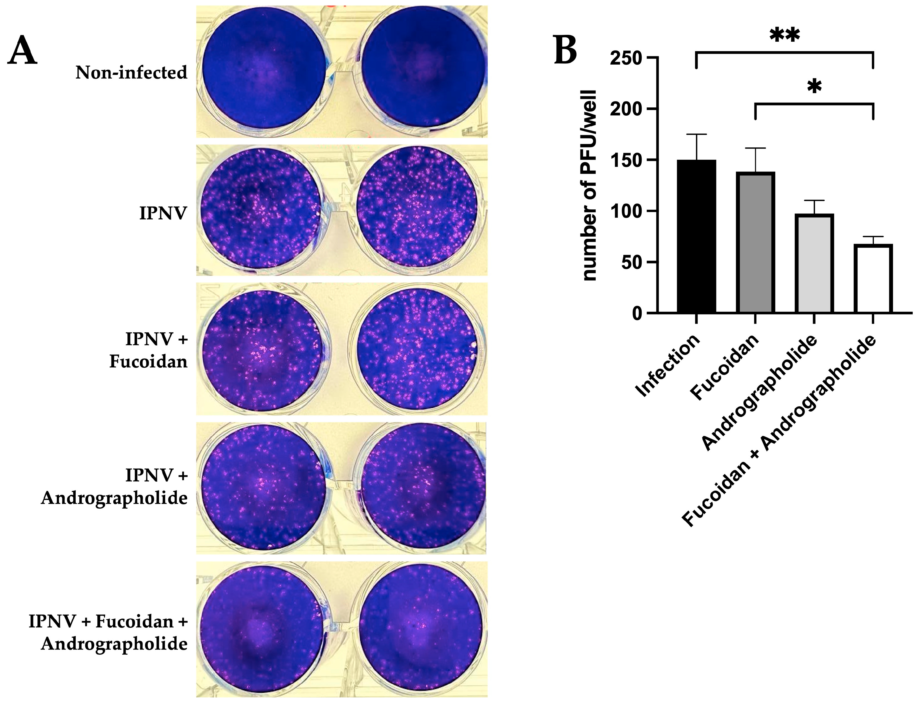 Molecules 30 02443 g005