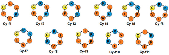 Synthesis of Cyclic Hexapeptides via the Hydrazide Method