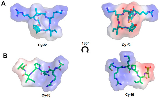 Synthesis of Cyclic Hexapeptides via the Hydrazide Method