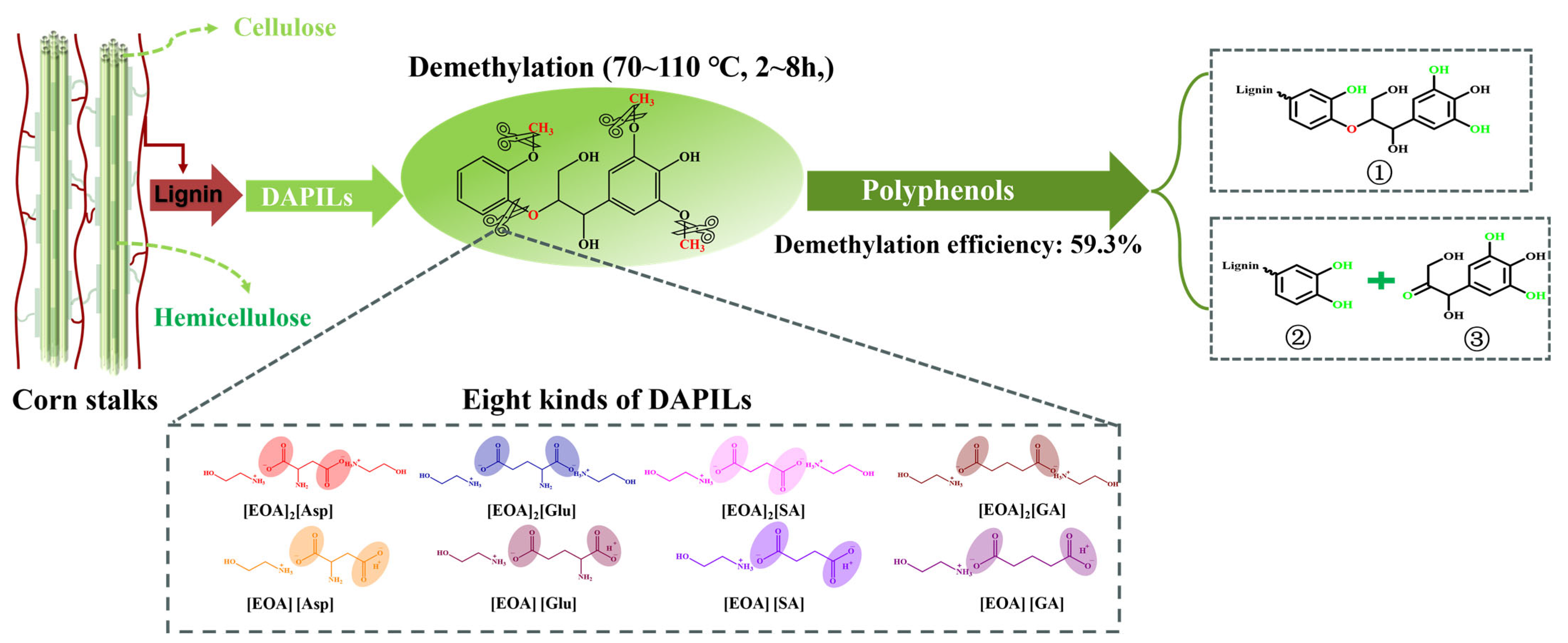 Molecules 30 02445 sch001