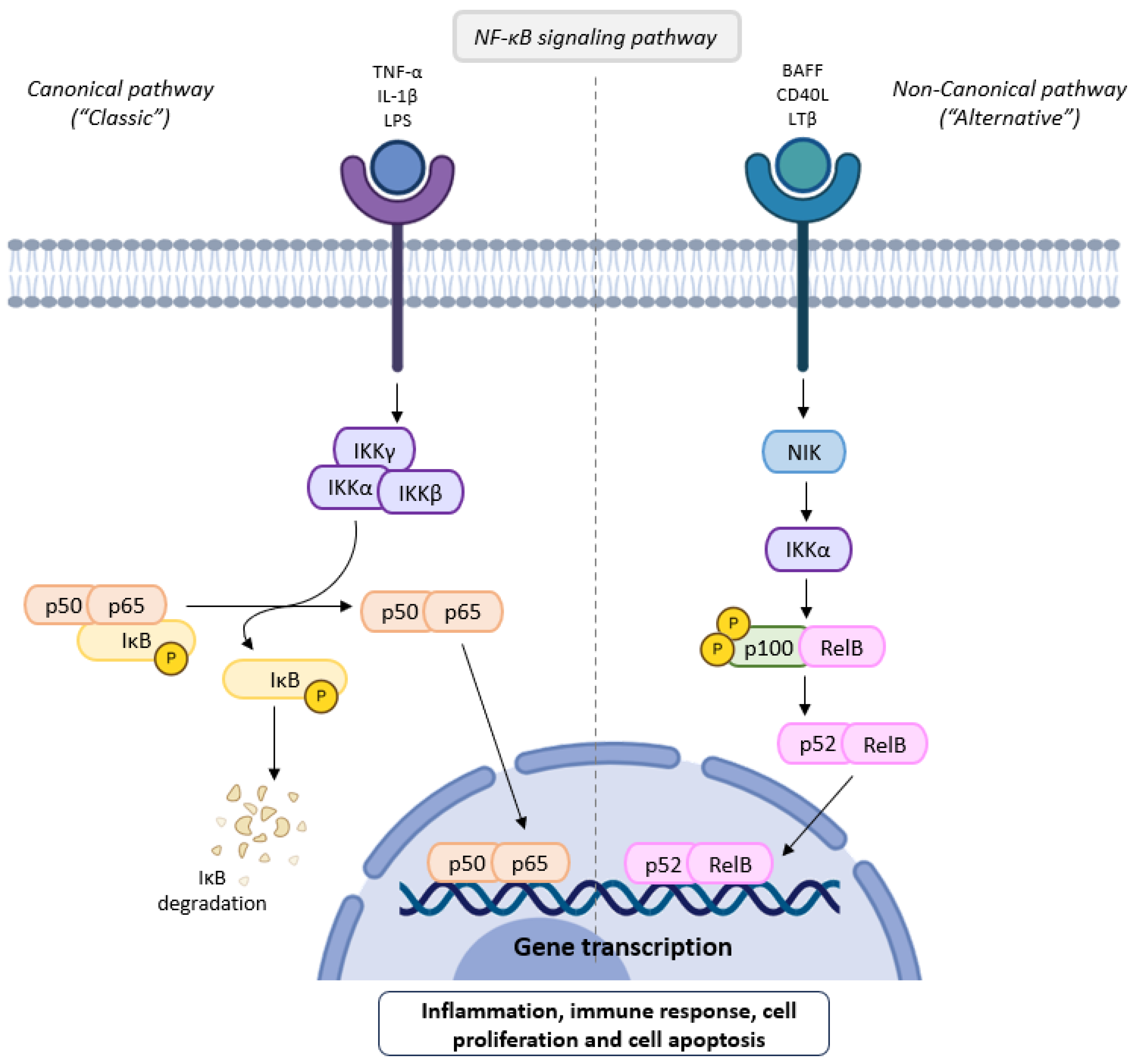 Molecules 30 02450 g003