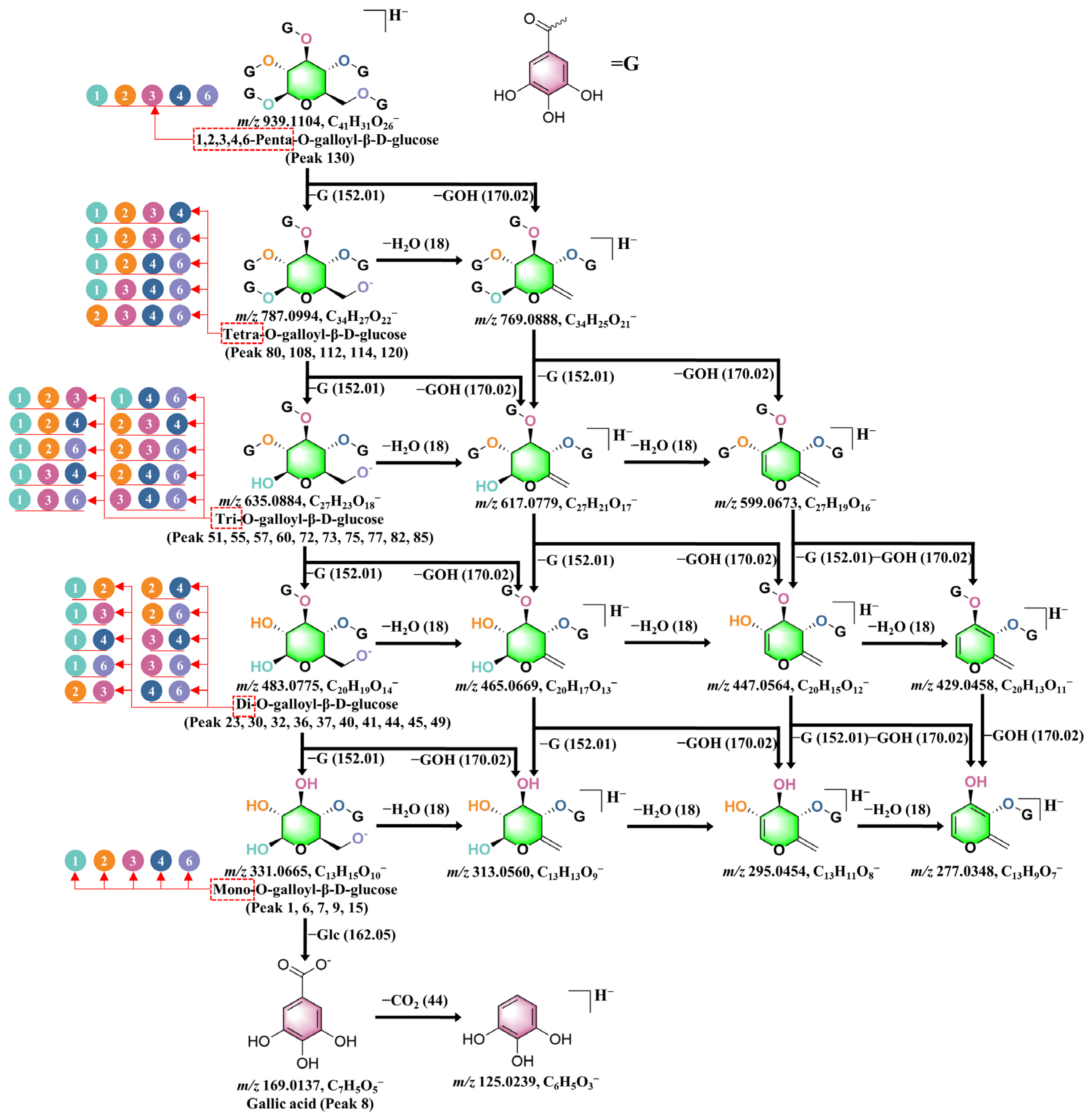 Molecules 30 02451 g005