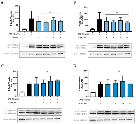 Isomeric 3-Pyridinylmethylcoumarins Differ in Erk1/2