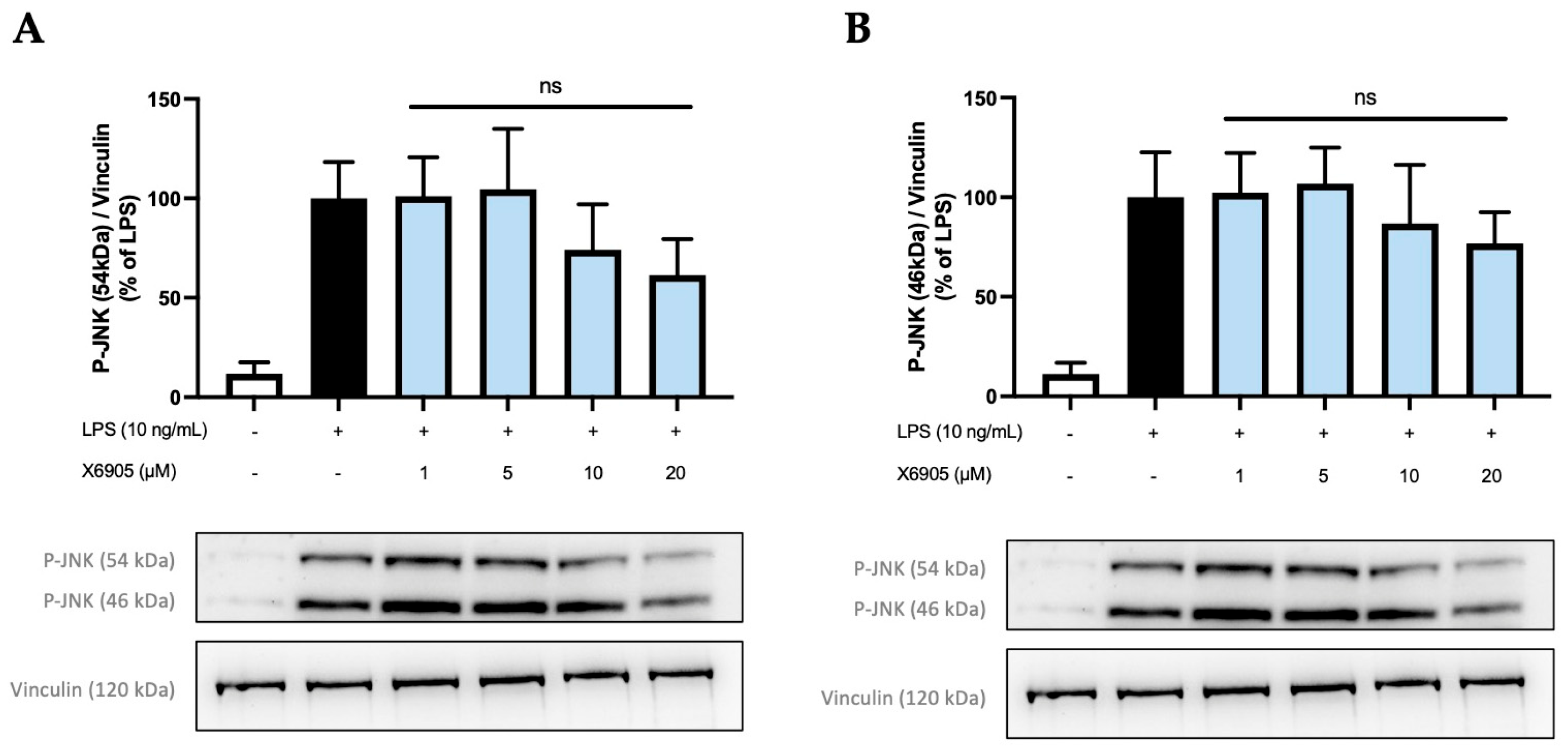 Molecules 30 02452 g011