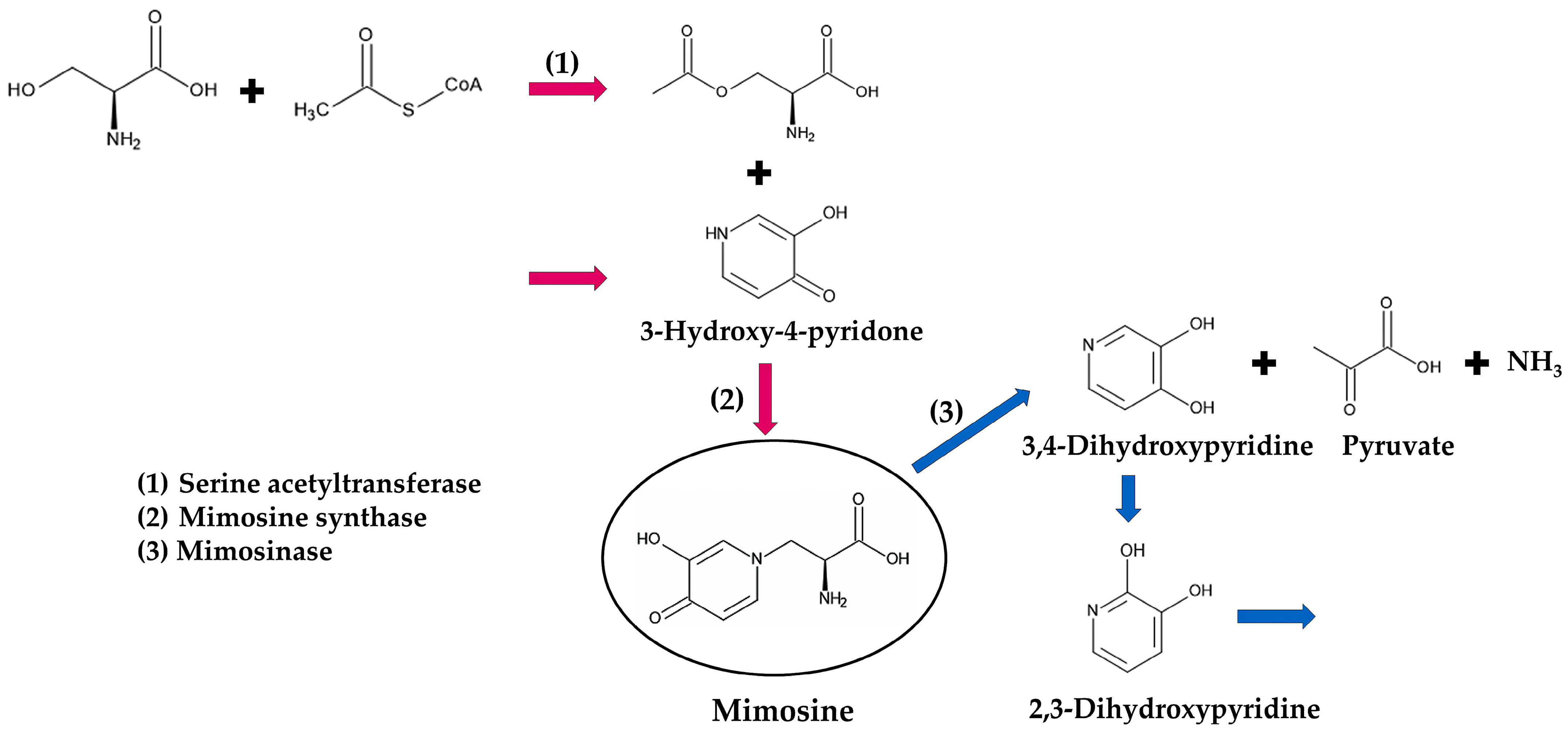 Molecules 30 02453 g005 Molecules 30 02453 g005