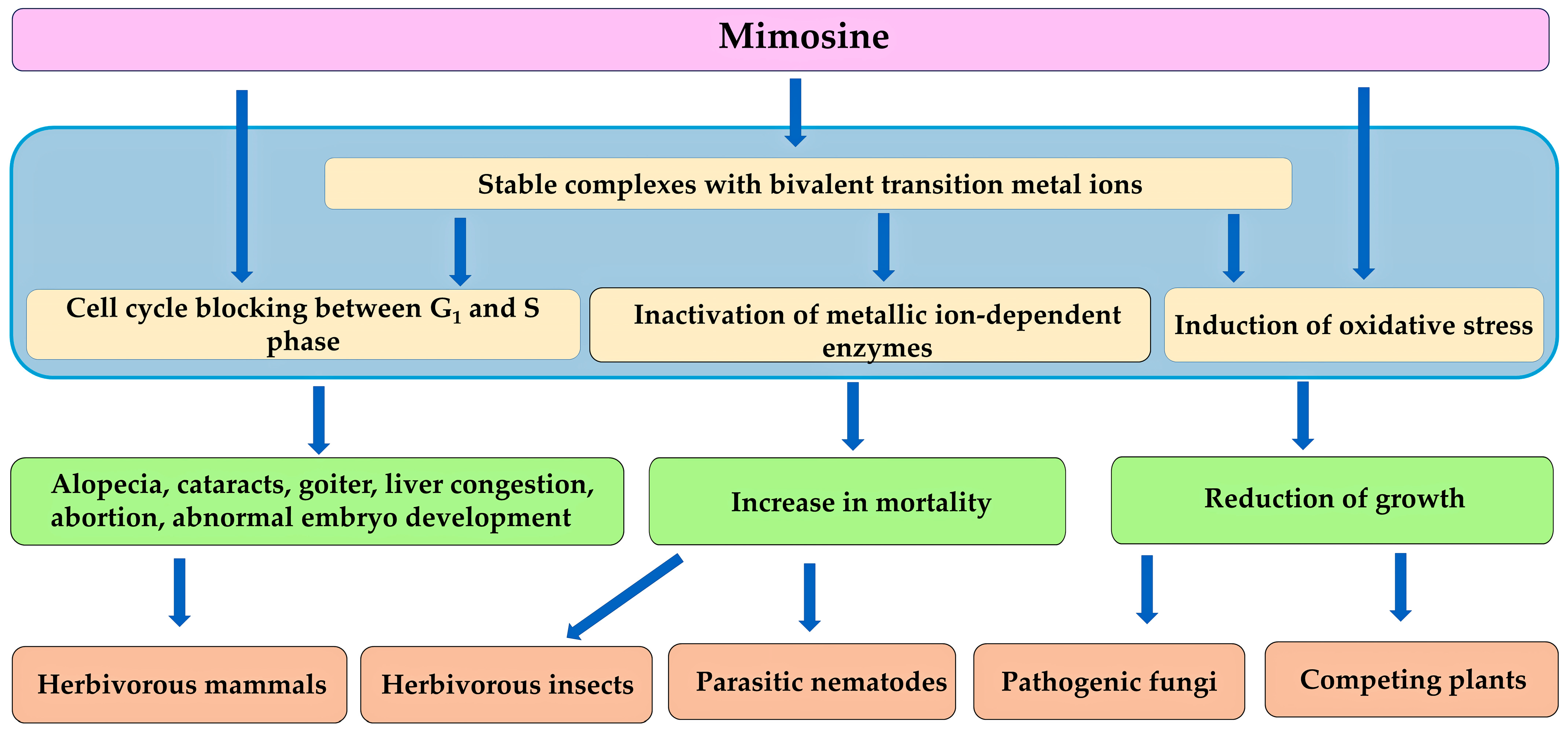 Molecules 30 02453 g006 Molecules 30 02453 g006