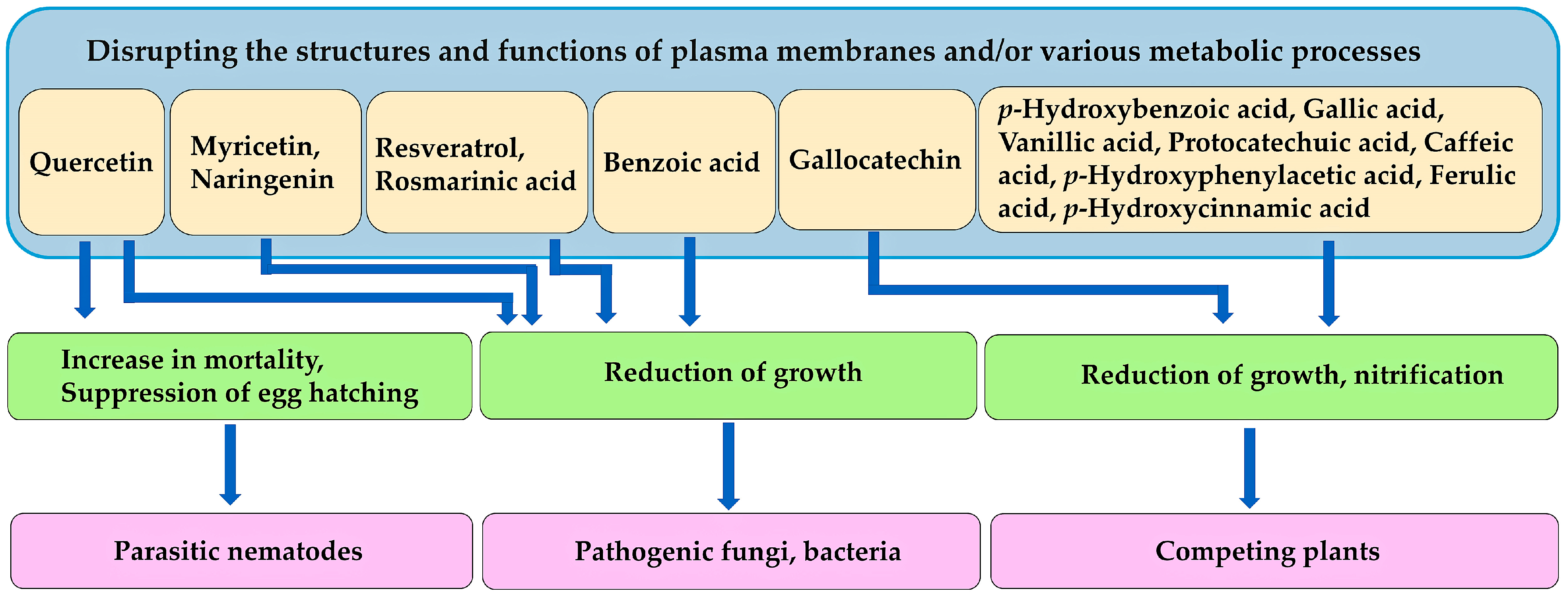 Molecules 30 02453 g007 Molecules 30 02453 g007