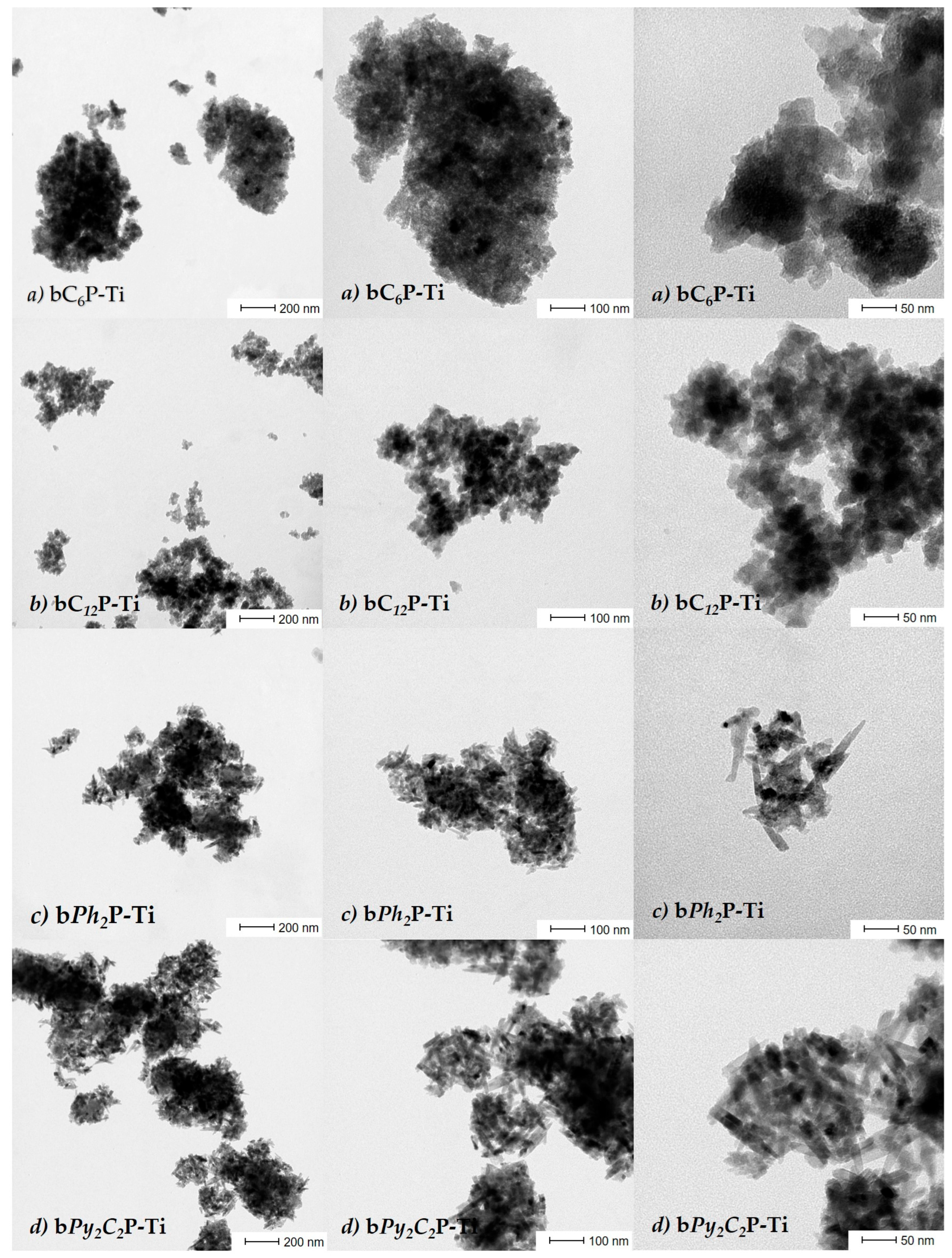 Molecules 30 02459 g006
