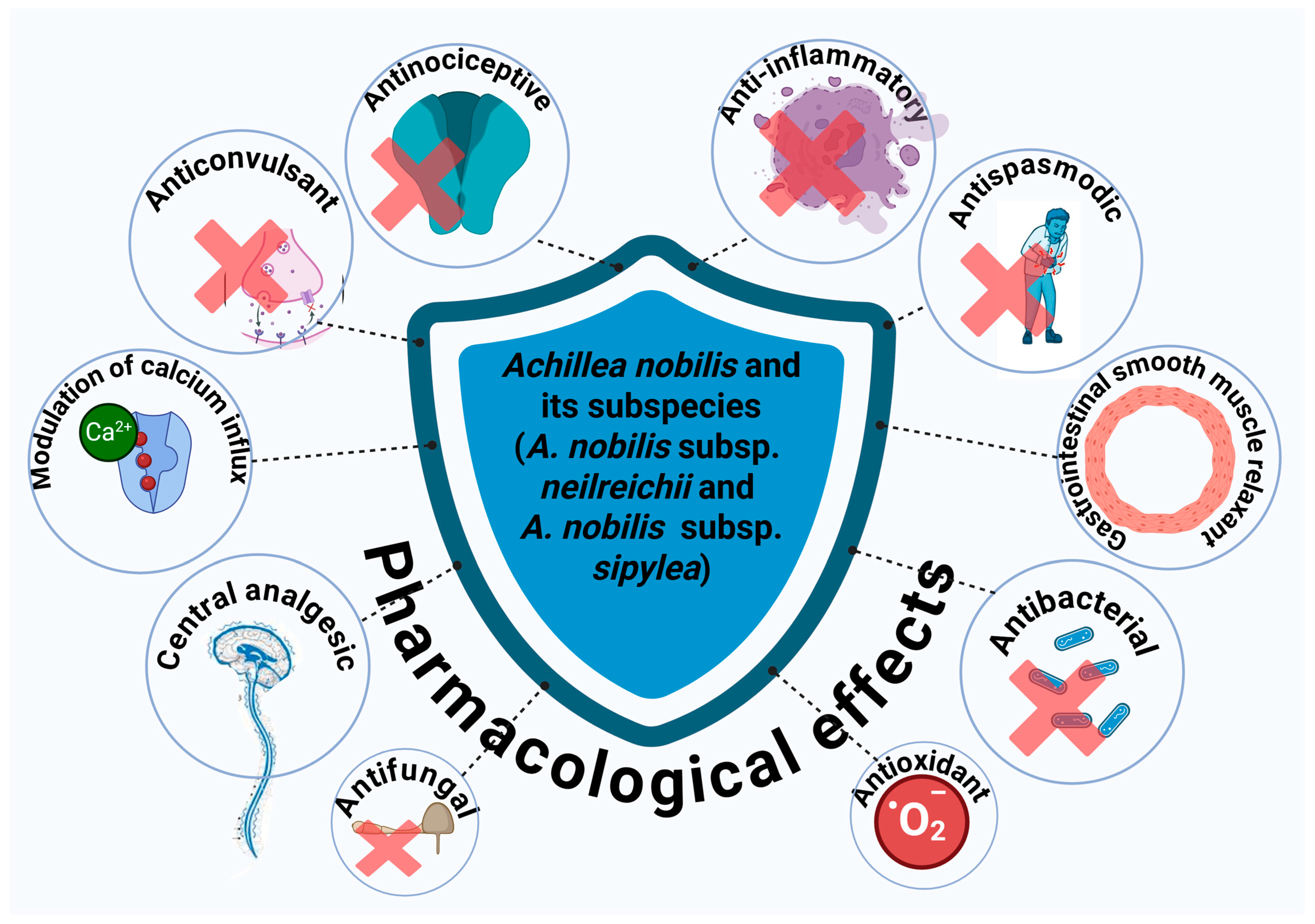 Molecules 30 02460 g001