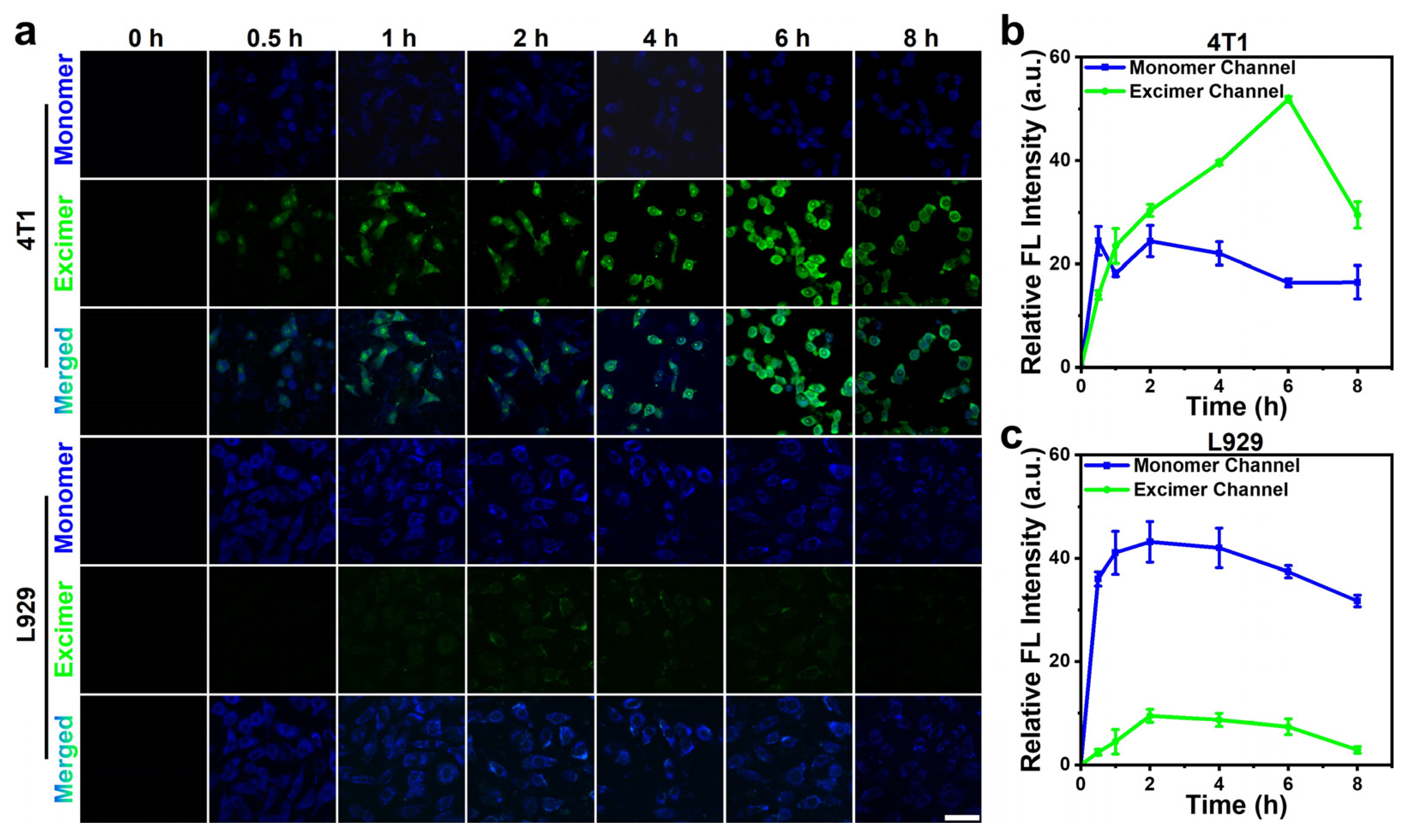 Molecules 30 02465 g005