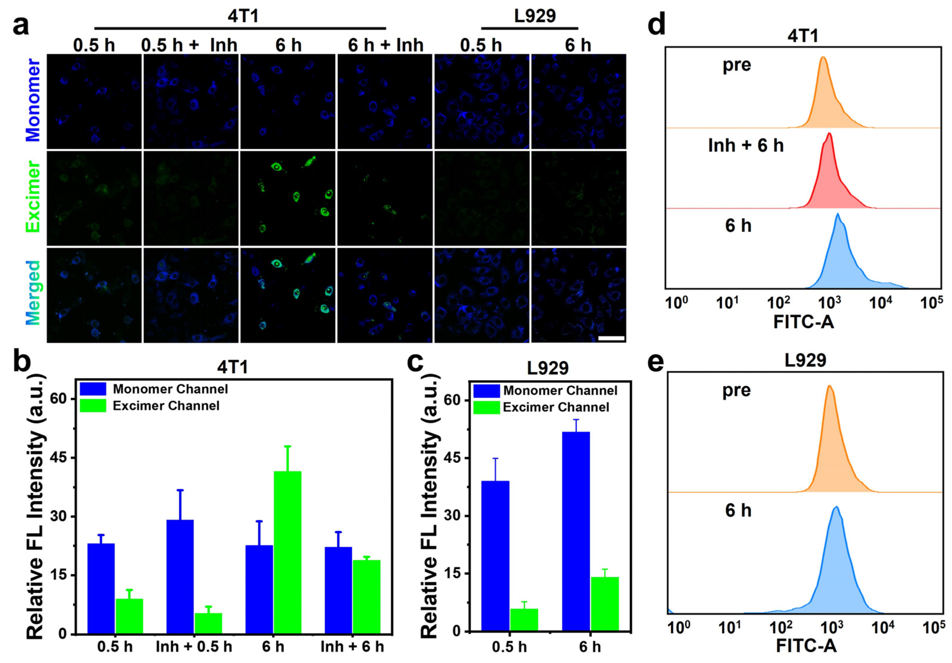 Molecules 30 02465 g006