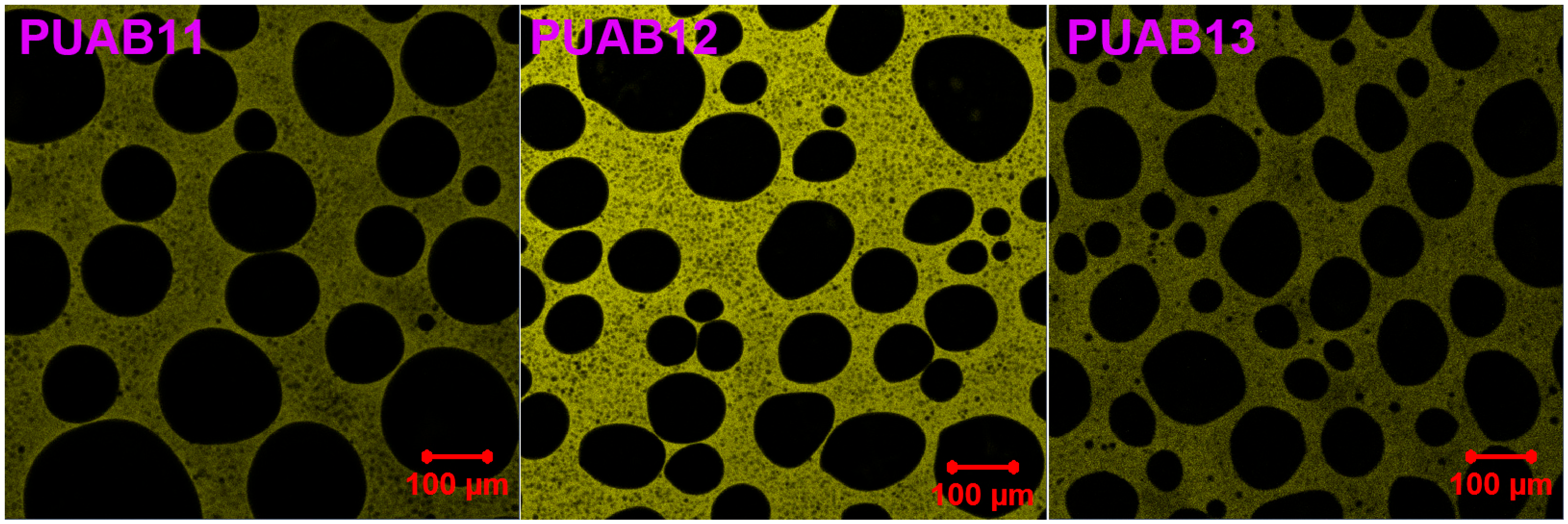 Molecules 30 02466 g009