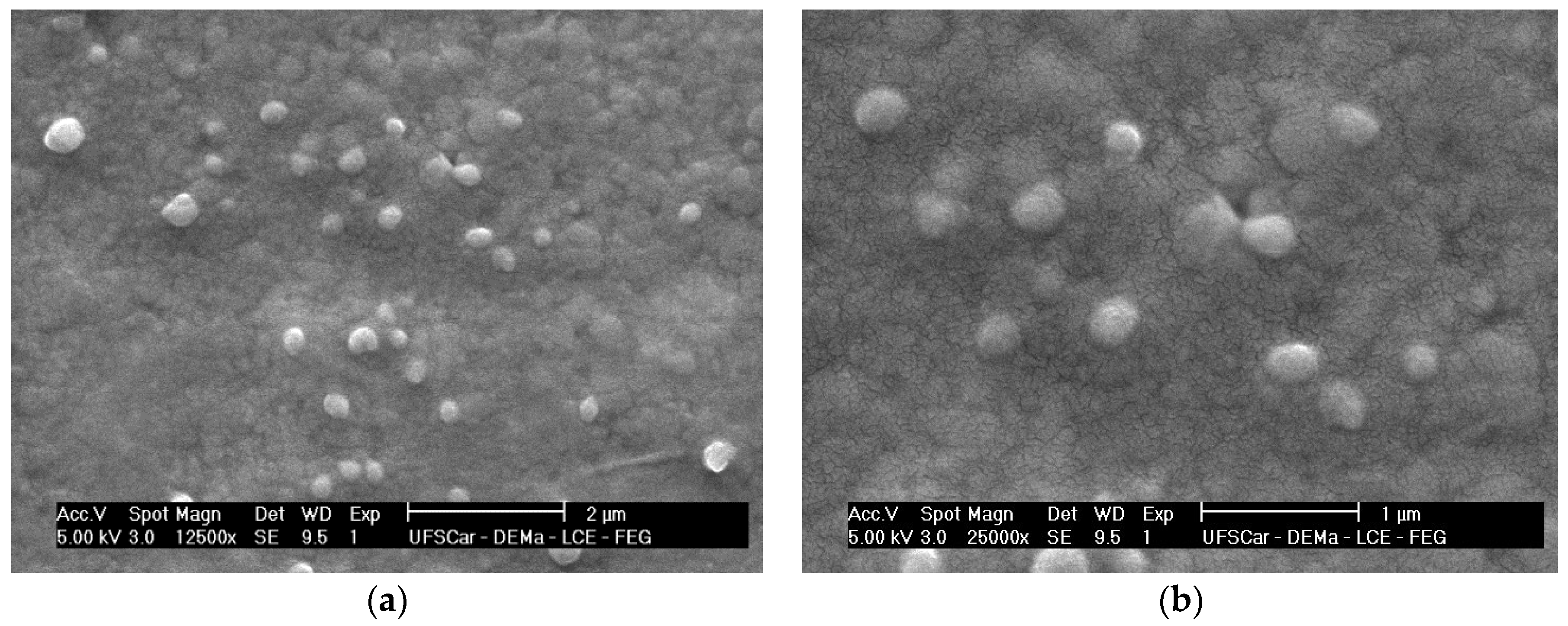 Molecules 30 02469 g001