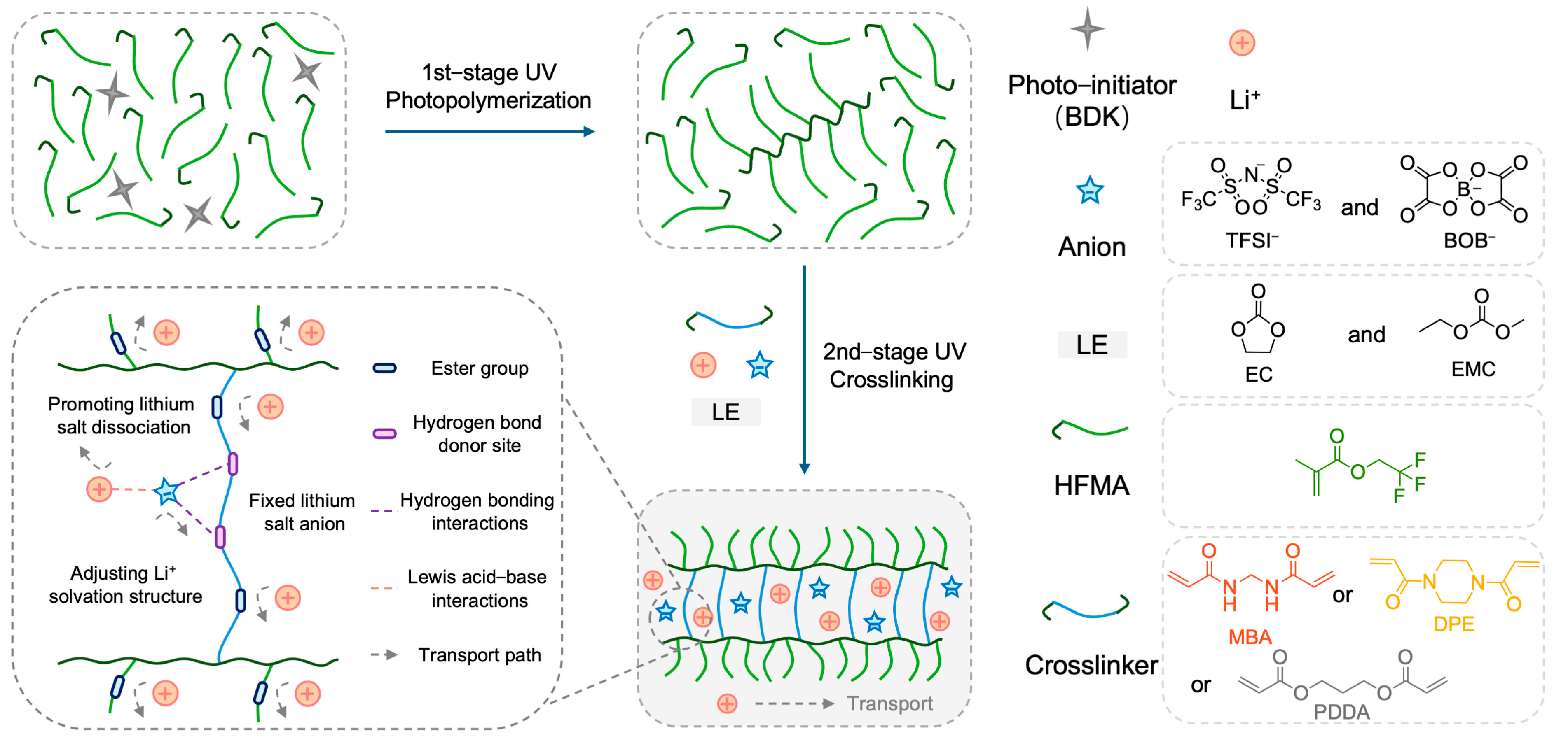 Molecules 30 02474 g001