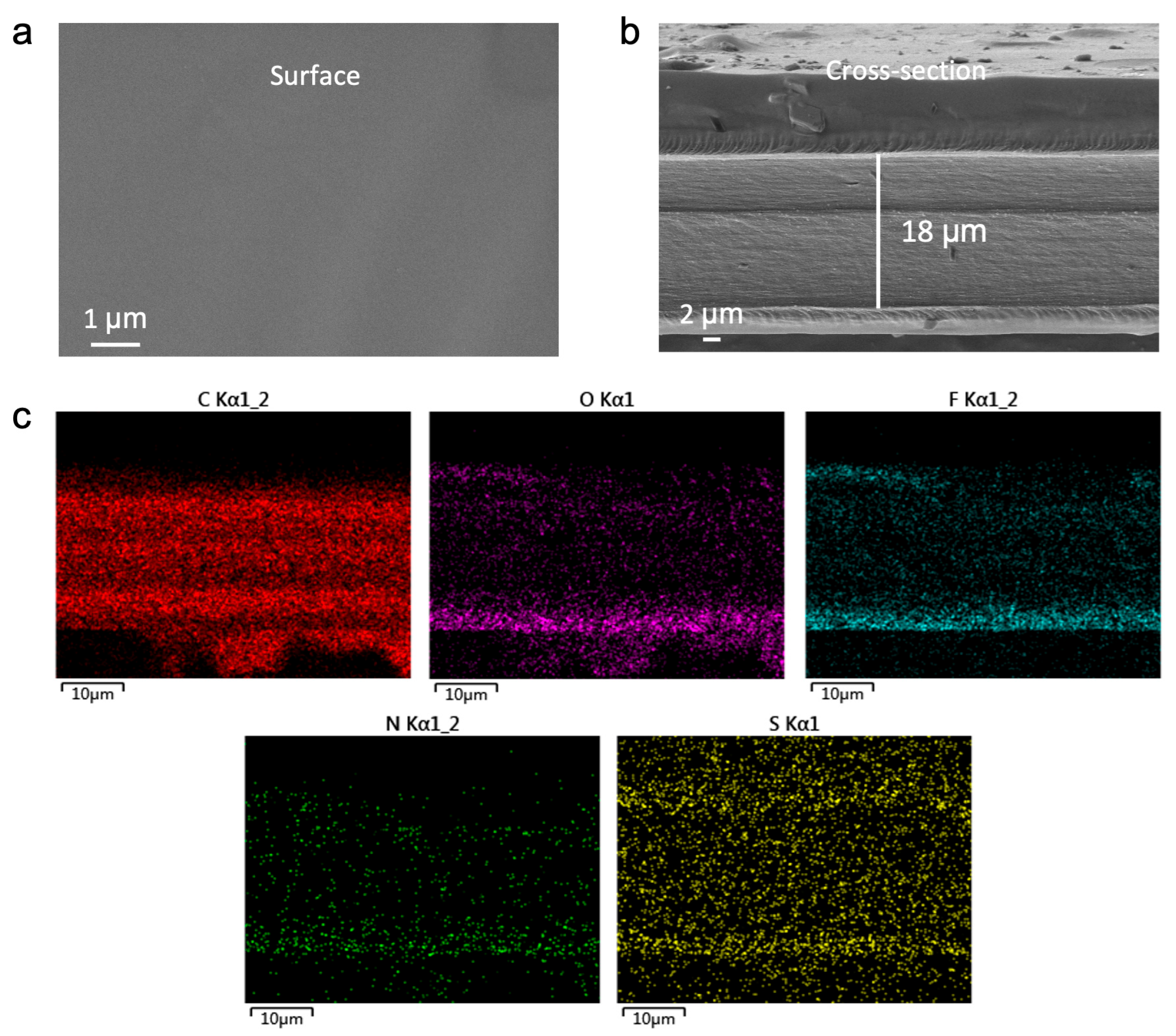 Molecules 30 02474 g002