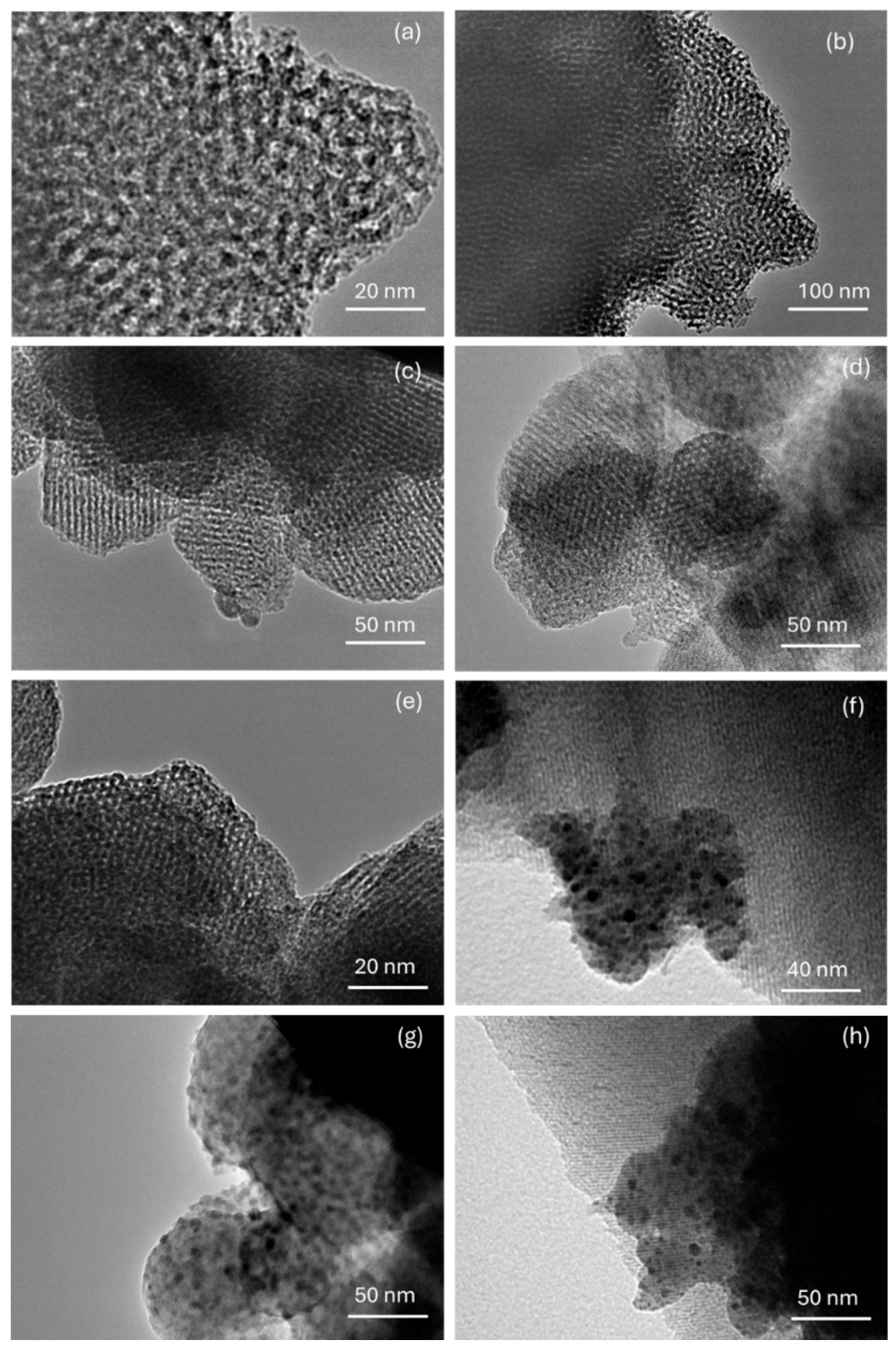 Molecules 30 02484 g003