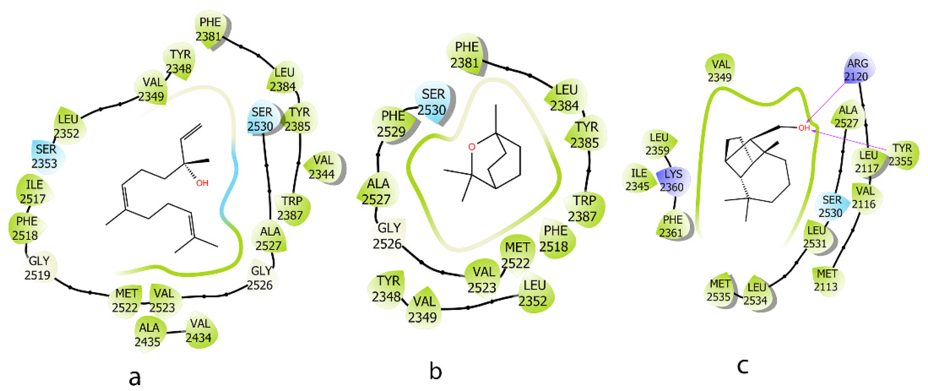 Molecules 30 02485 g006