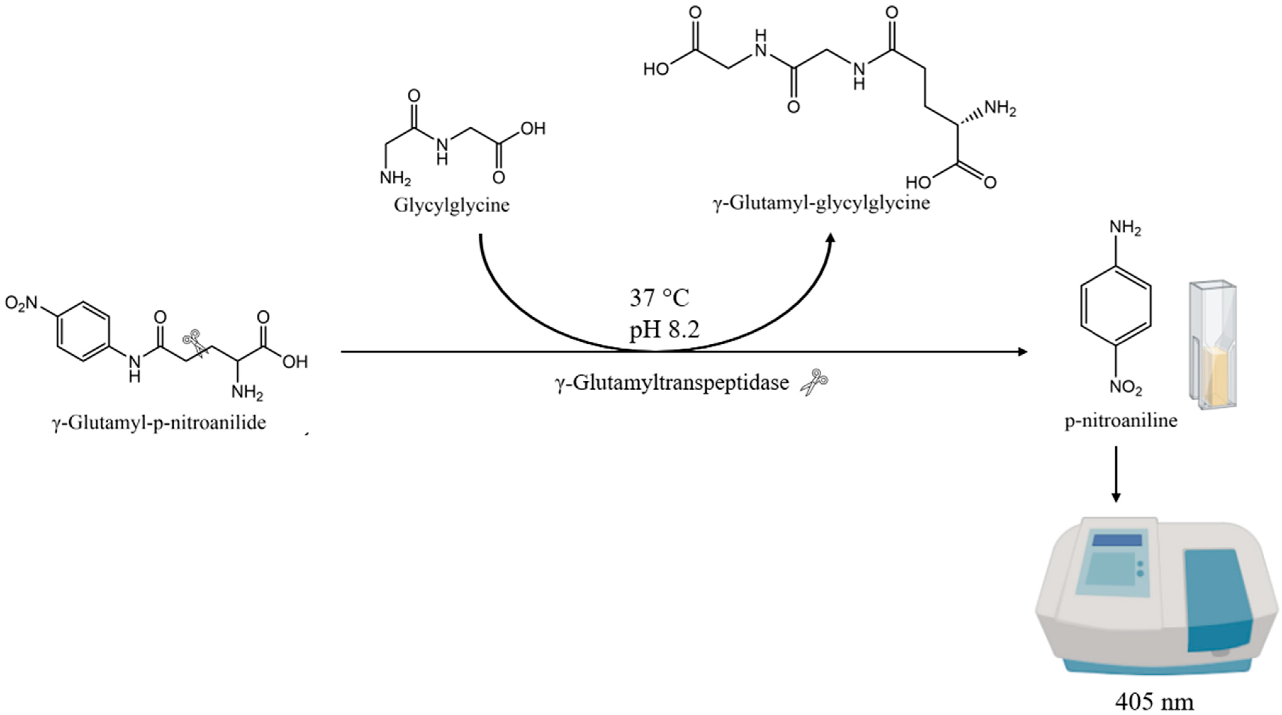 Molecules 30 02491 g001