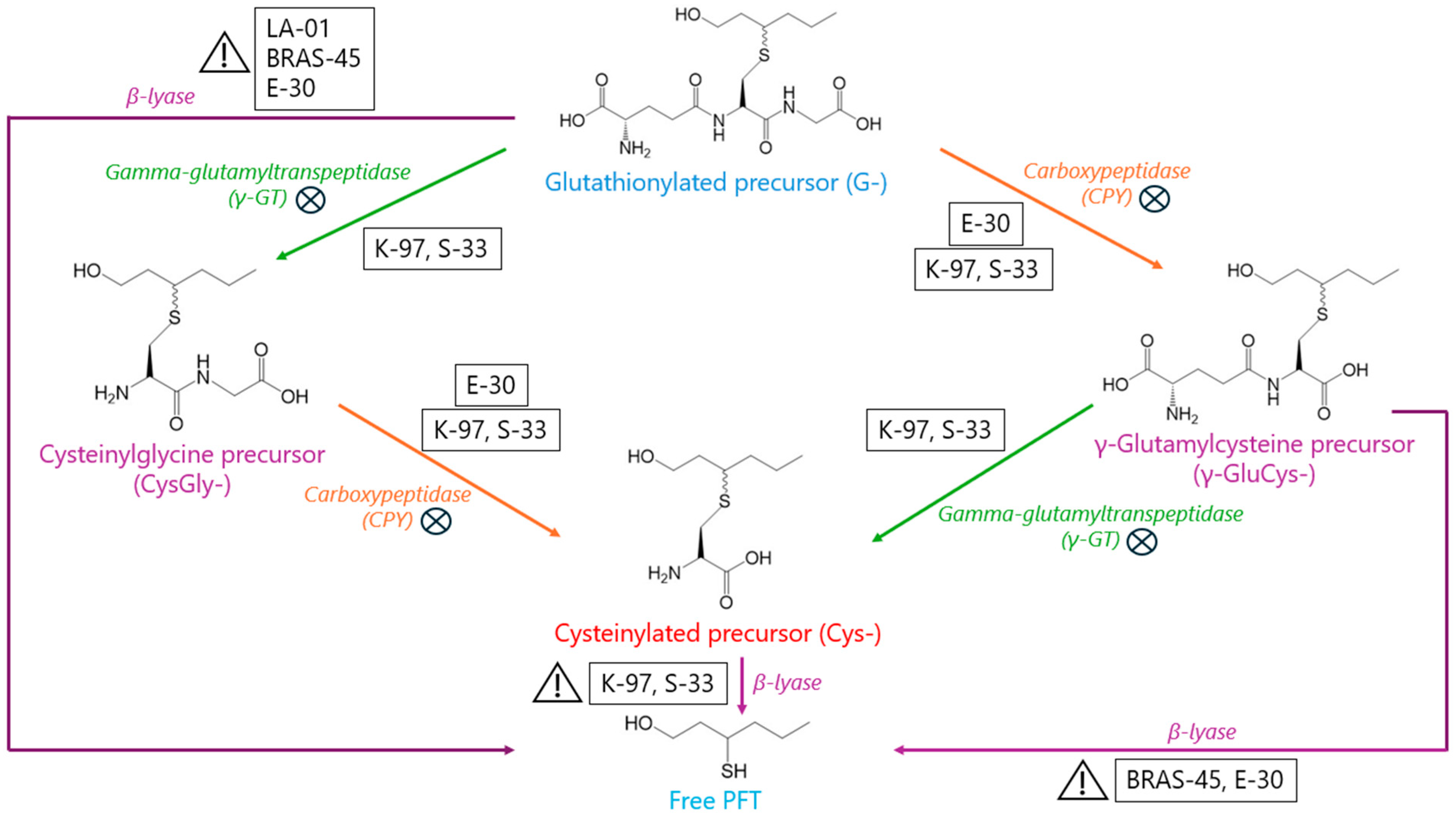 Molecules 30 02491 g007
