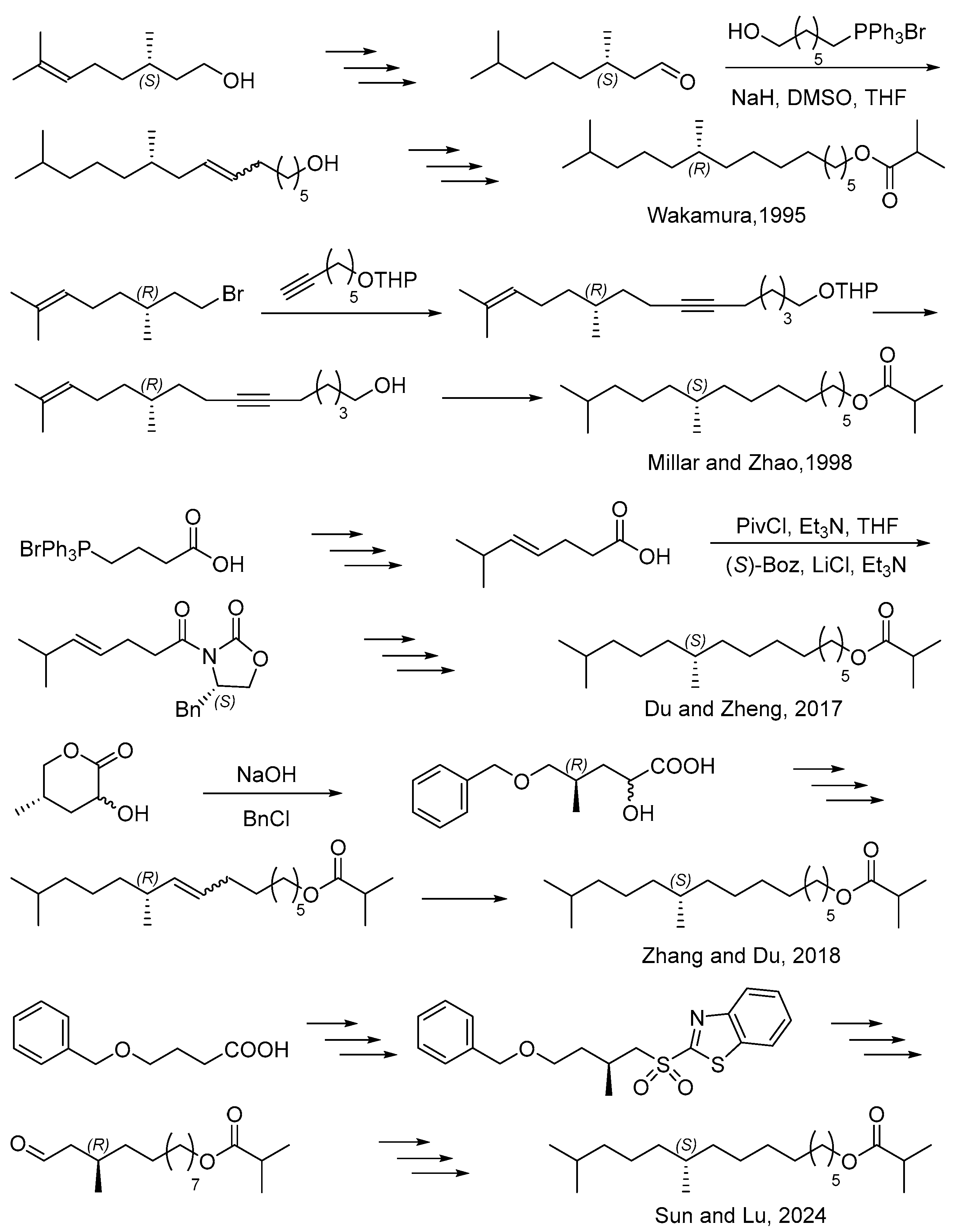 Molecules 30 02494 sch001