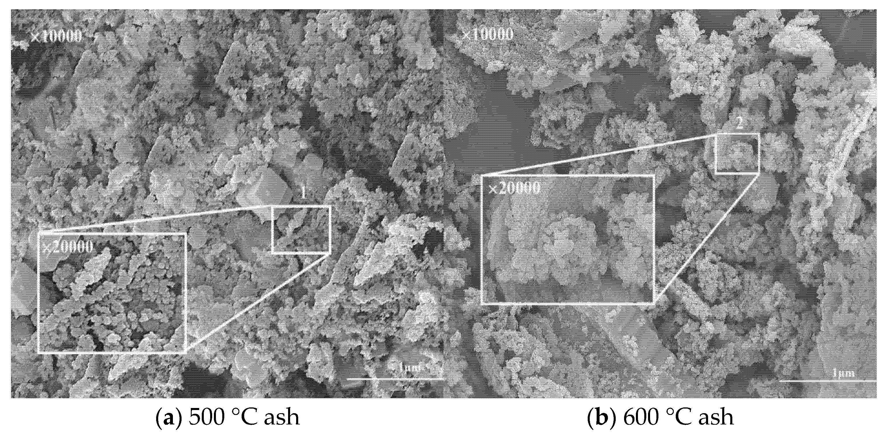 Molecules 30 02495 g004a