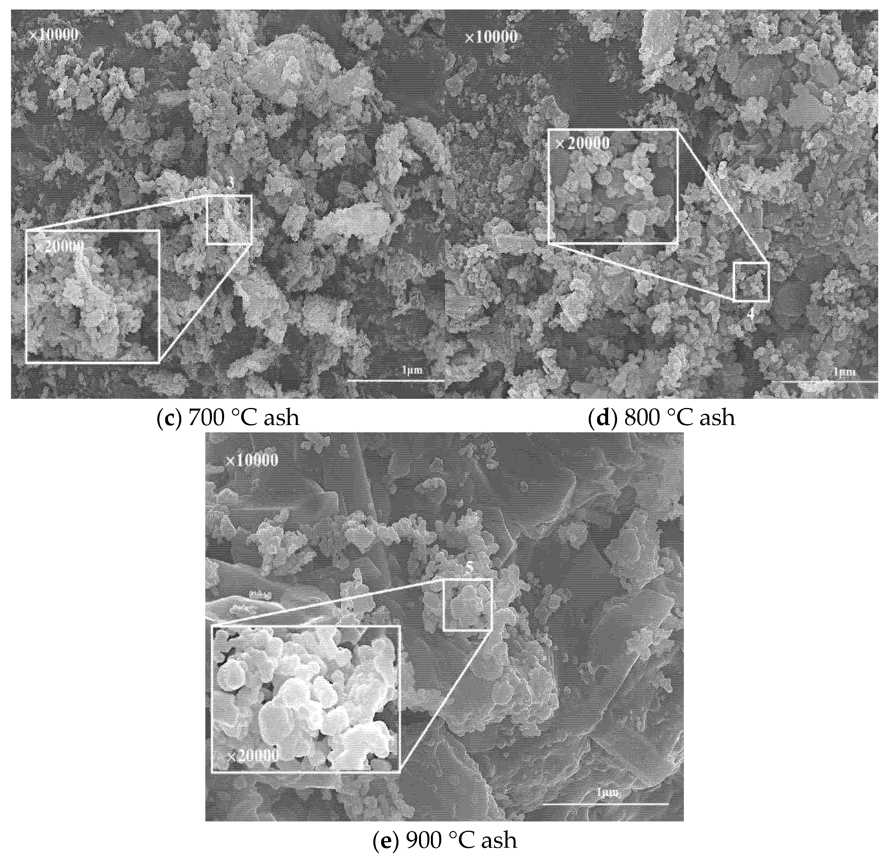 Molecules 30 02495 g004b