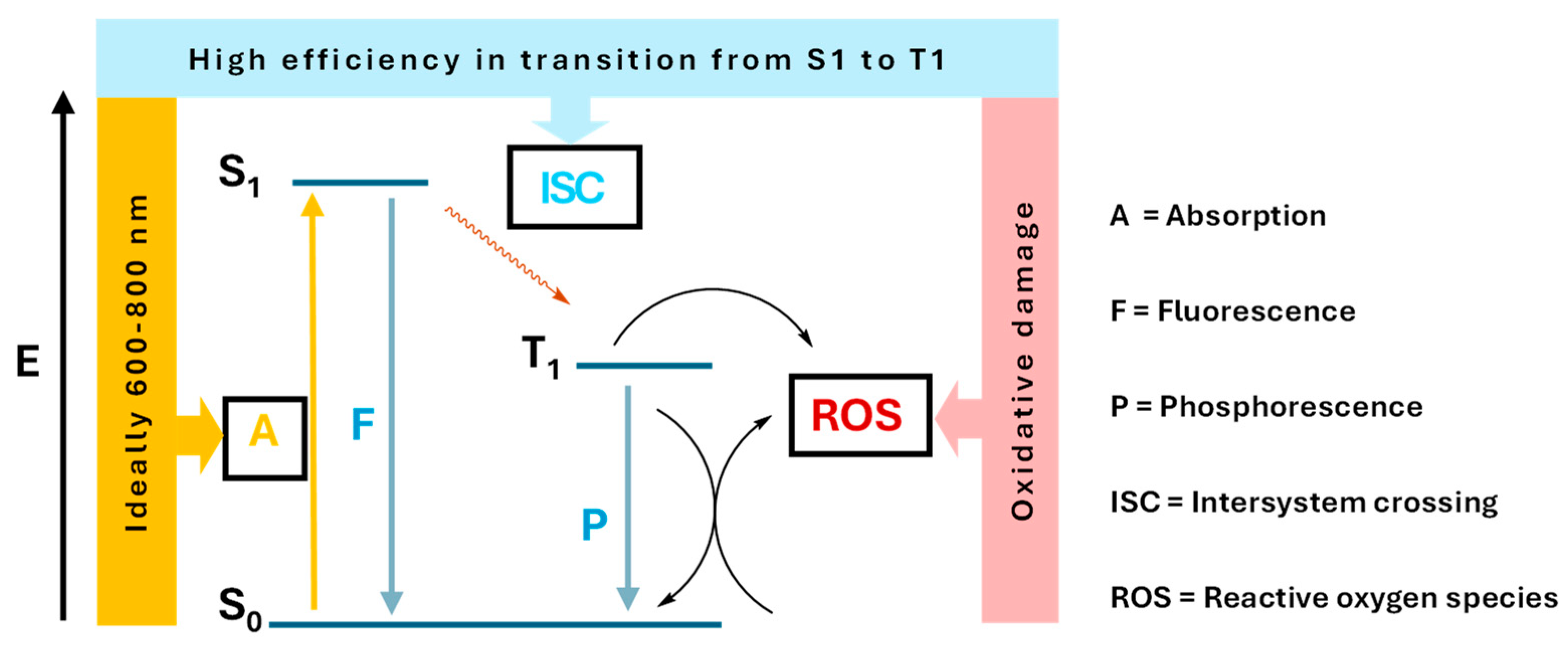 Molecules 30 02496 g001