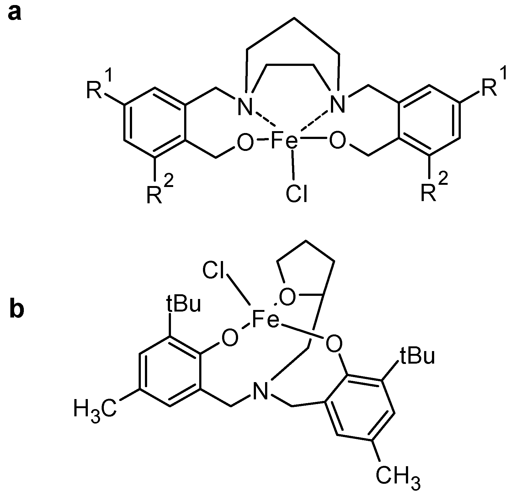 Molecules 30 02499 g003