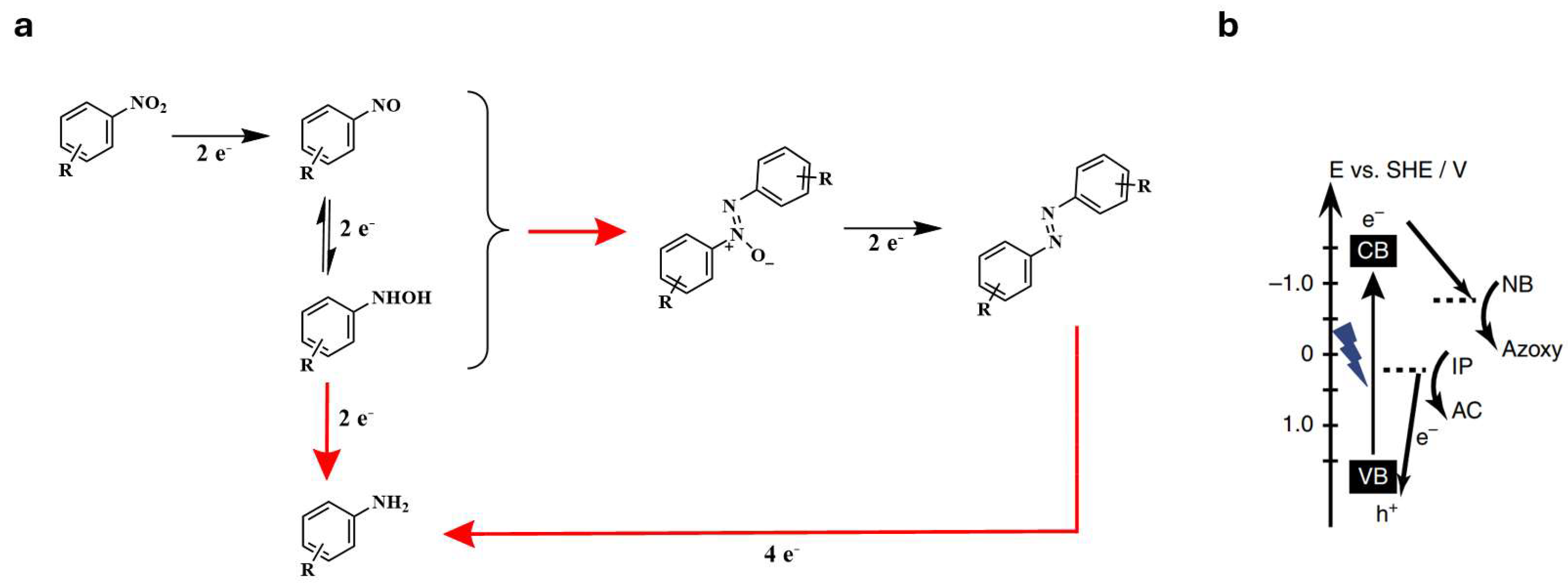 Molecules 30 02499 g016