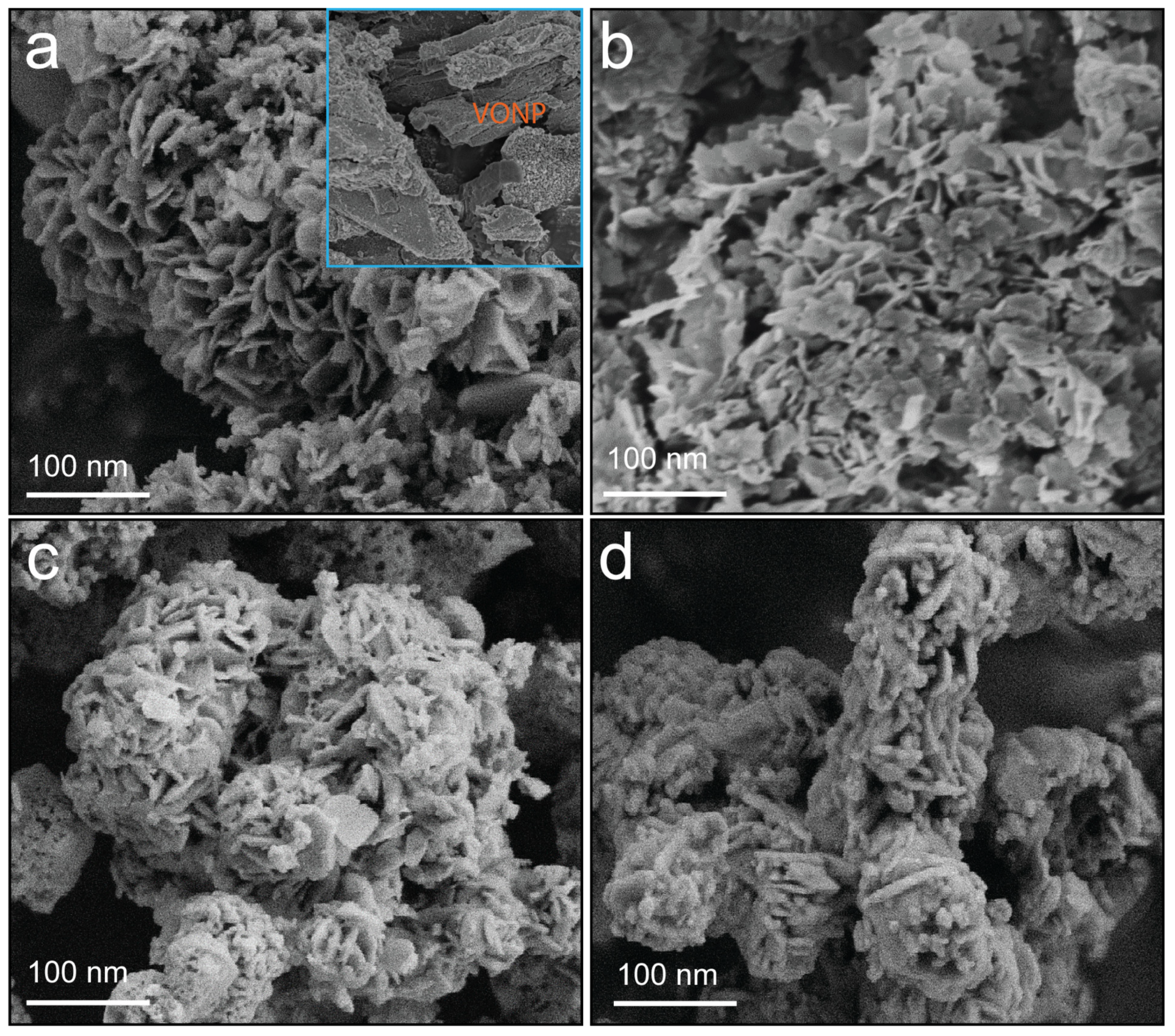 Molecules 30 02500 g001