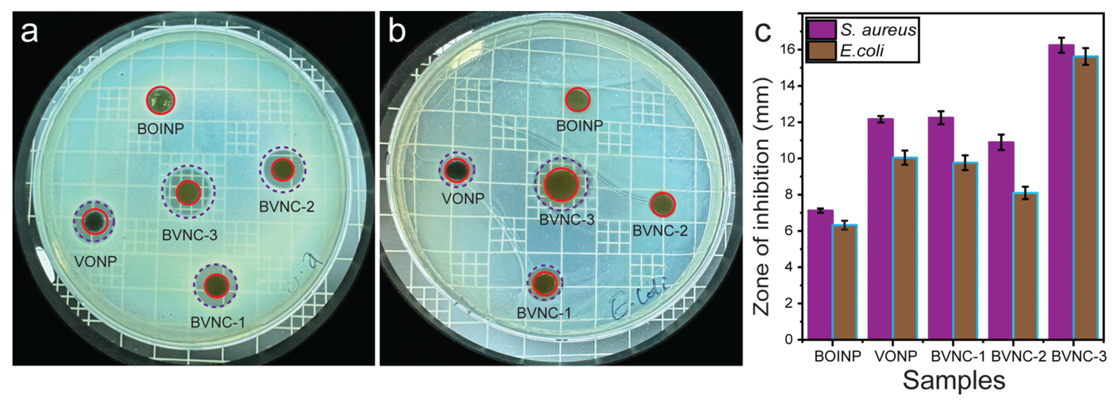 Molecules 30 02500 g009