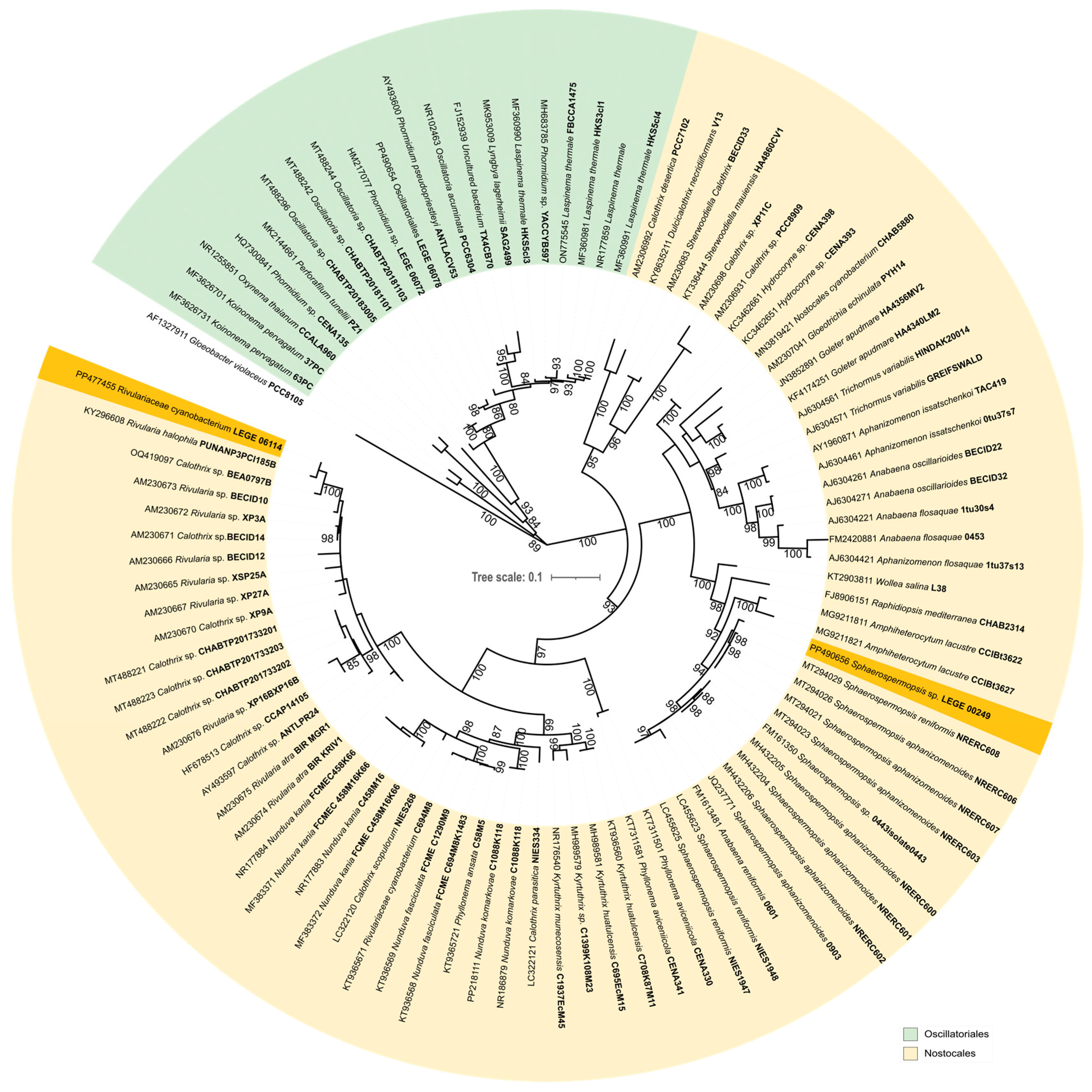 Molecules 30 02504 g001