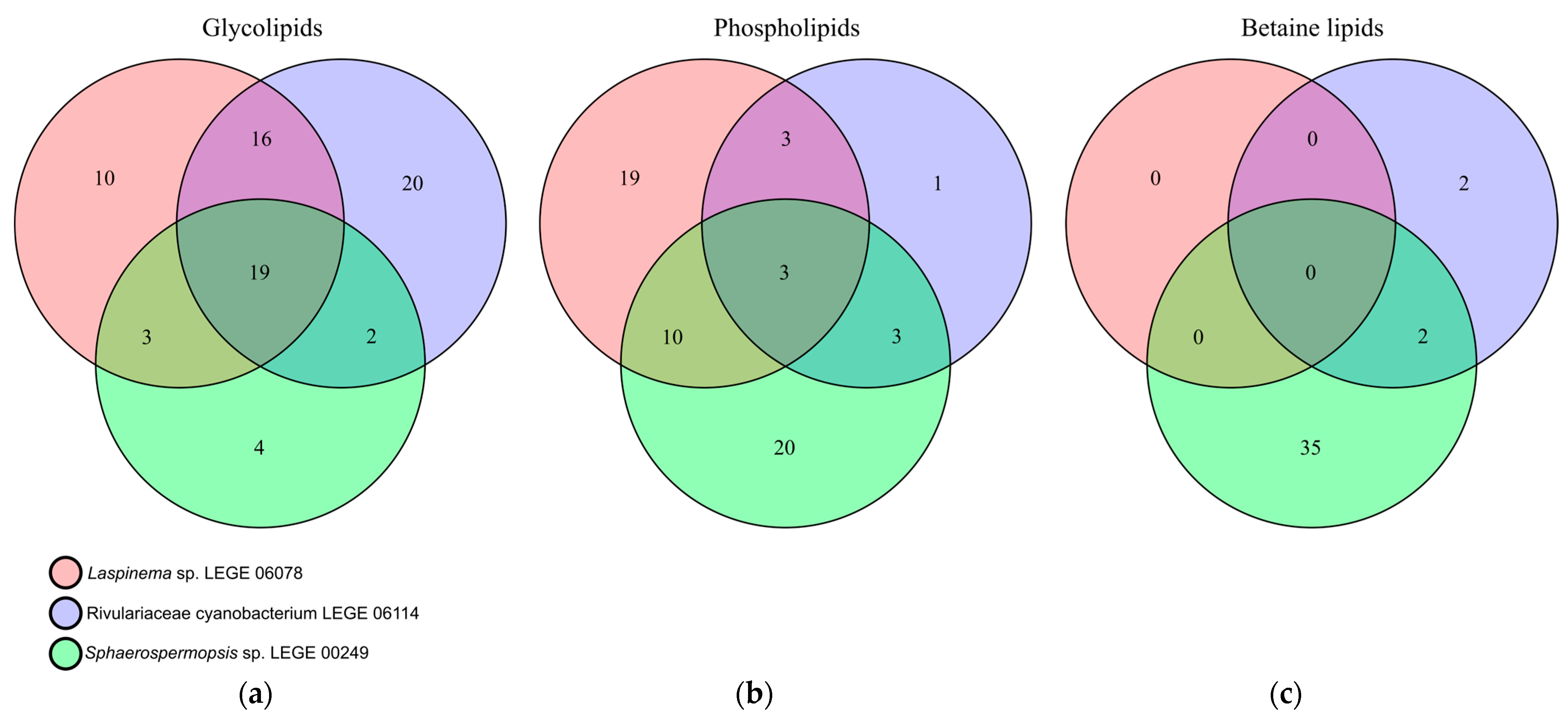 Molecules 30 02504 g004