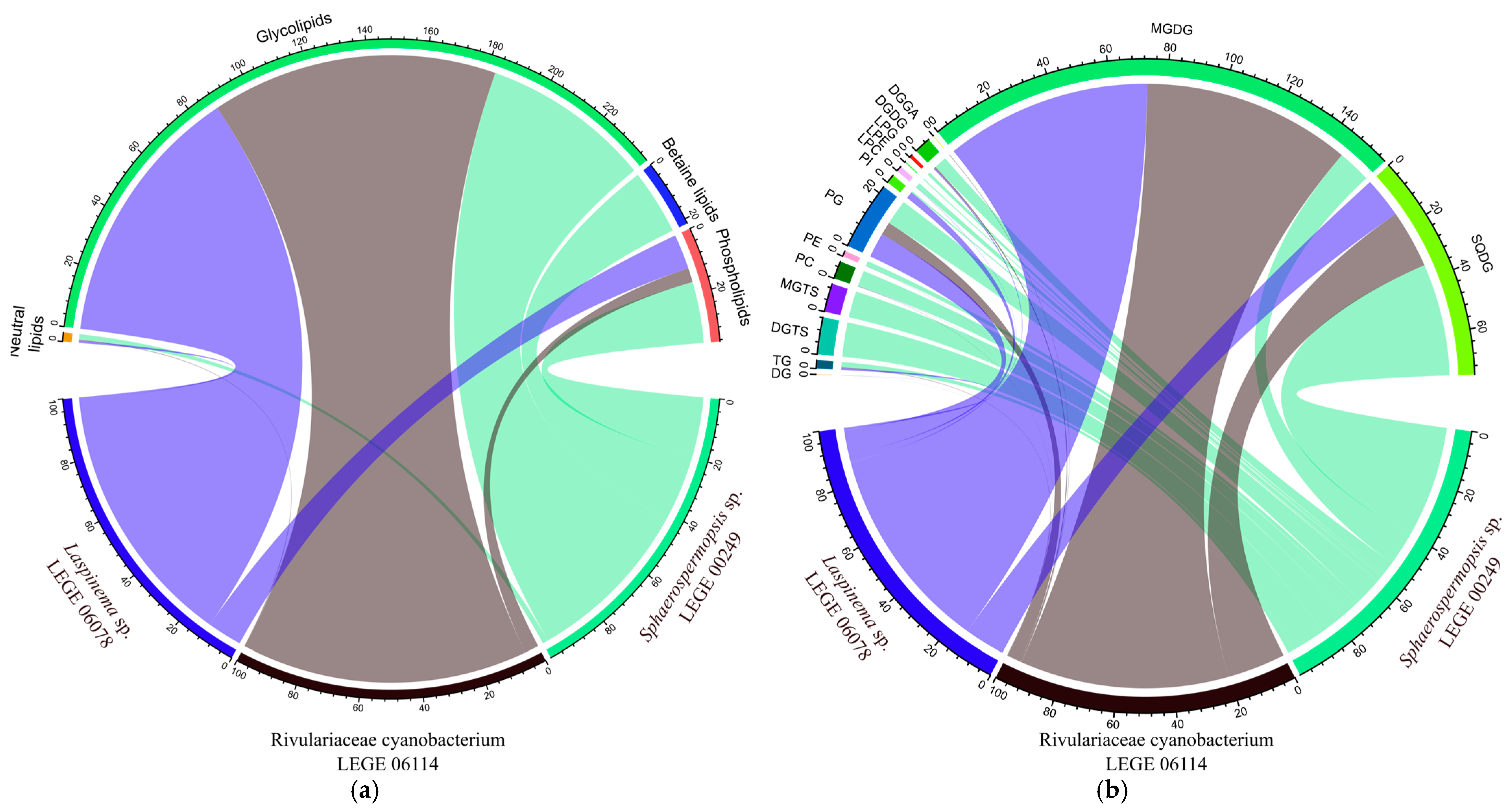 Molecules 30 02504 g005