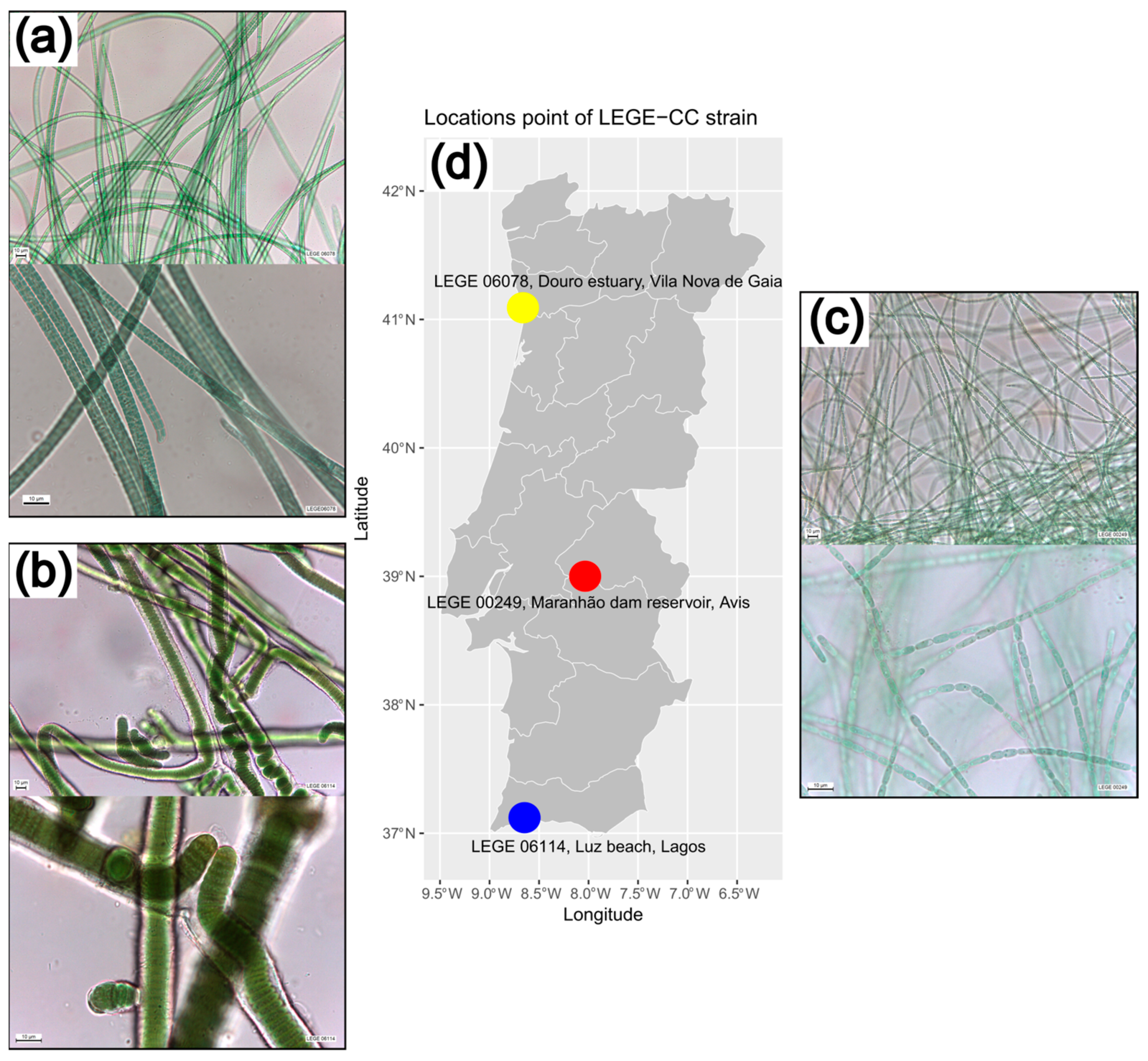 Molecules 30 02504 g008