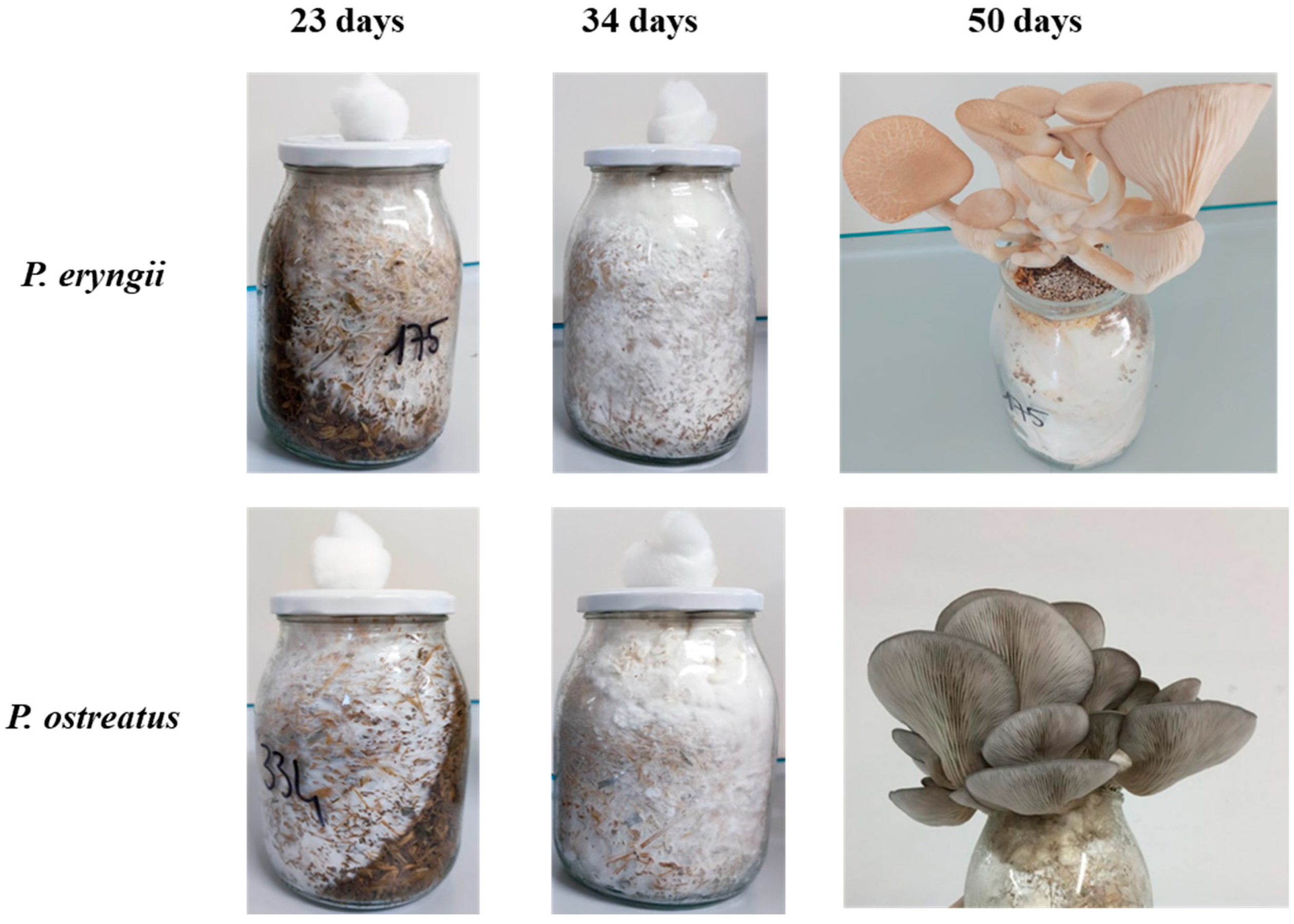 Molecules 30 02505 g001