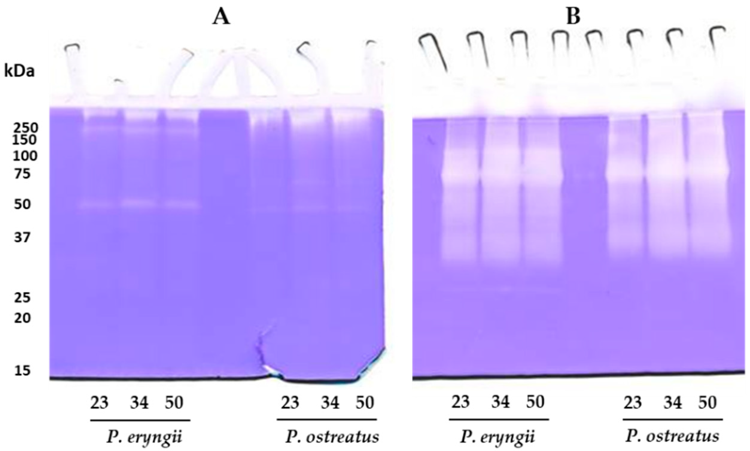 Molecules 30 02505 g002