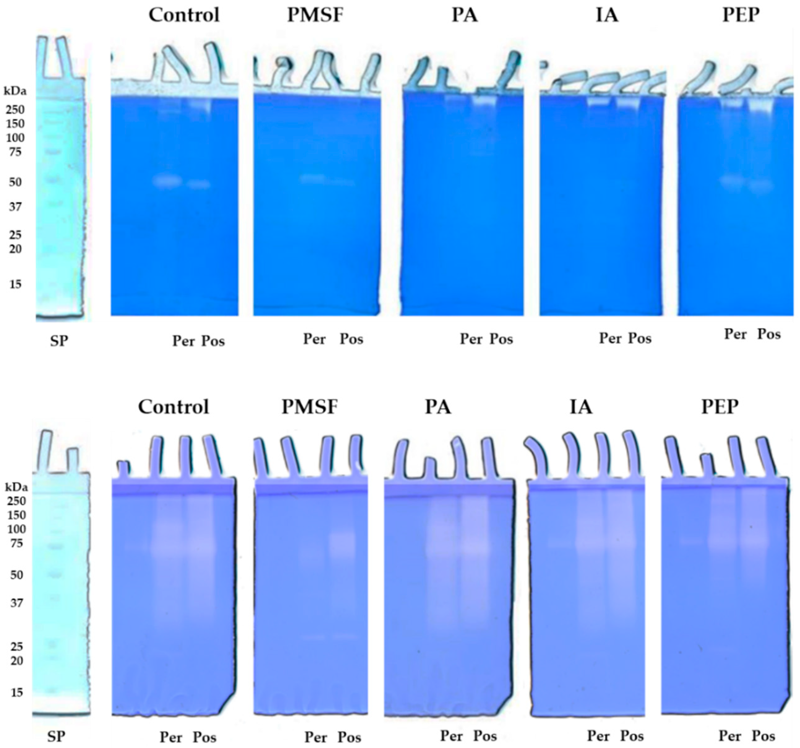 Molecules 30 02505 g003