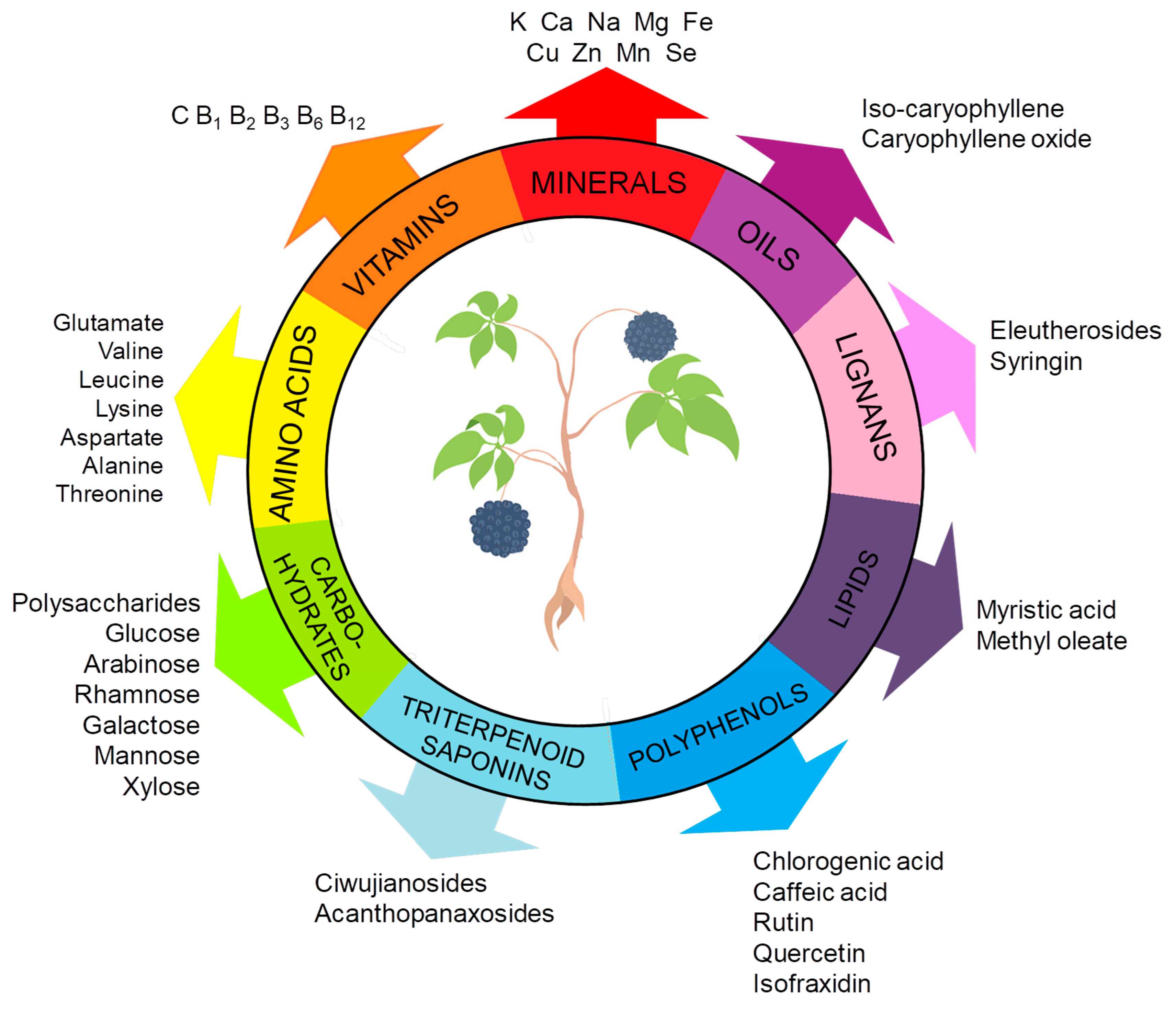 Molecules 30 02512 g001 Molecules 30 02512 g001