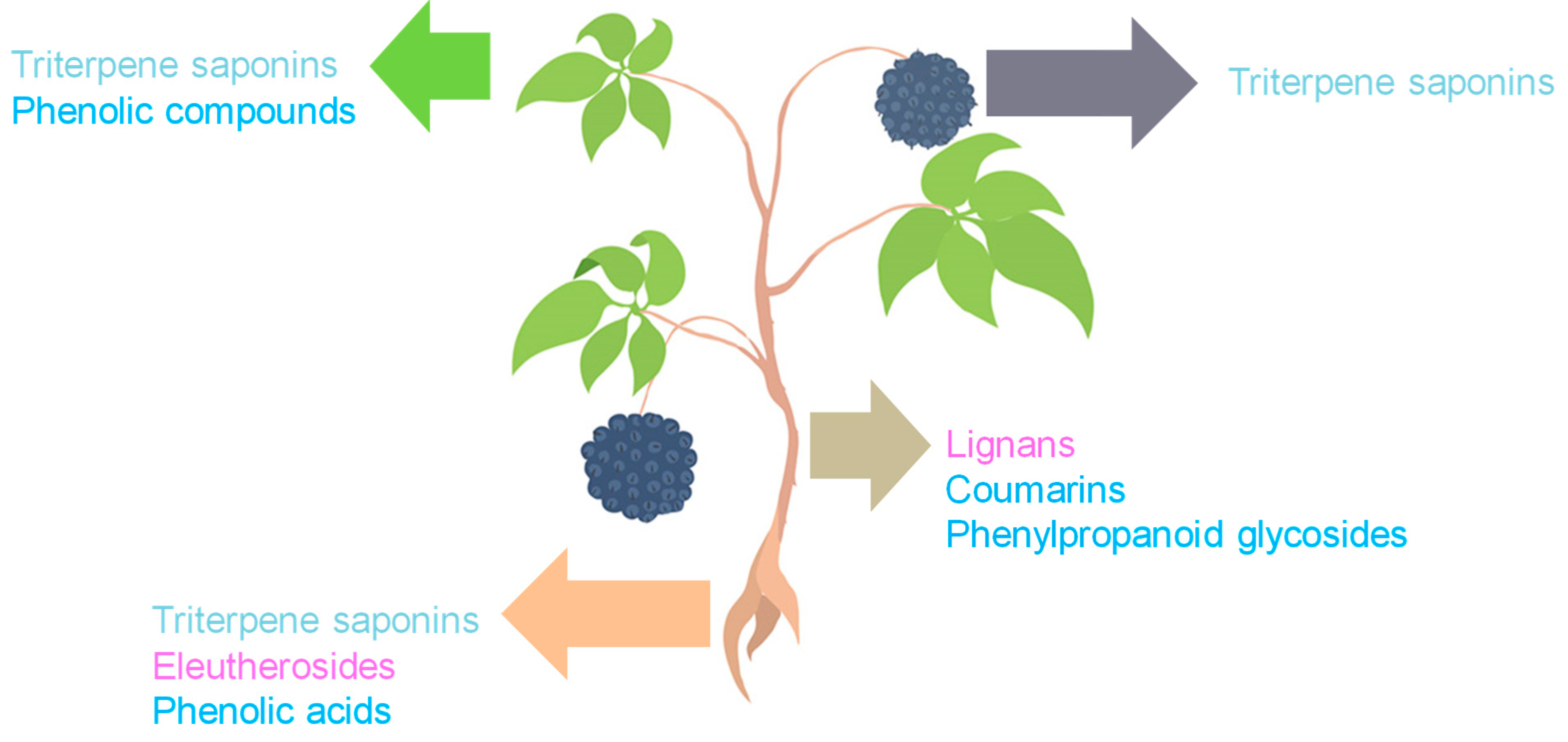 Molecules 30 02512 g002 Molecules 30 02512 g002