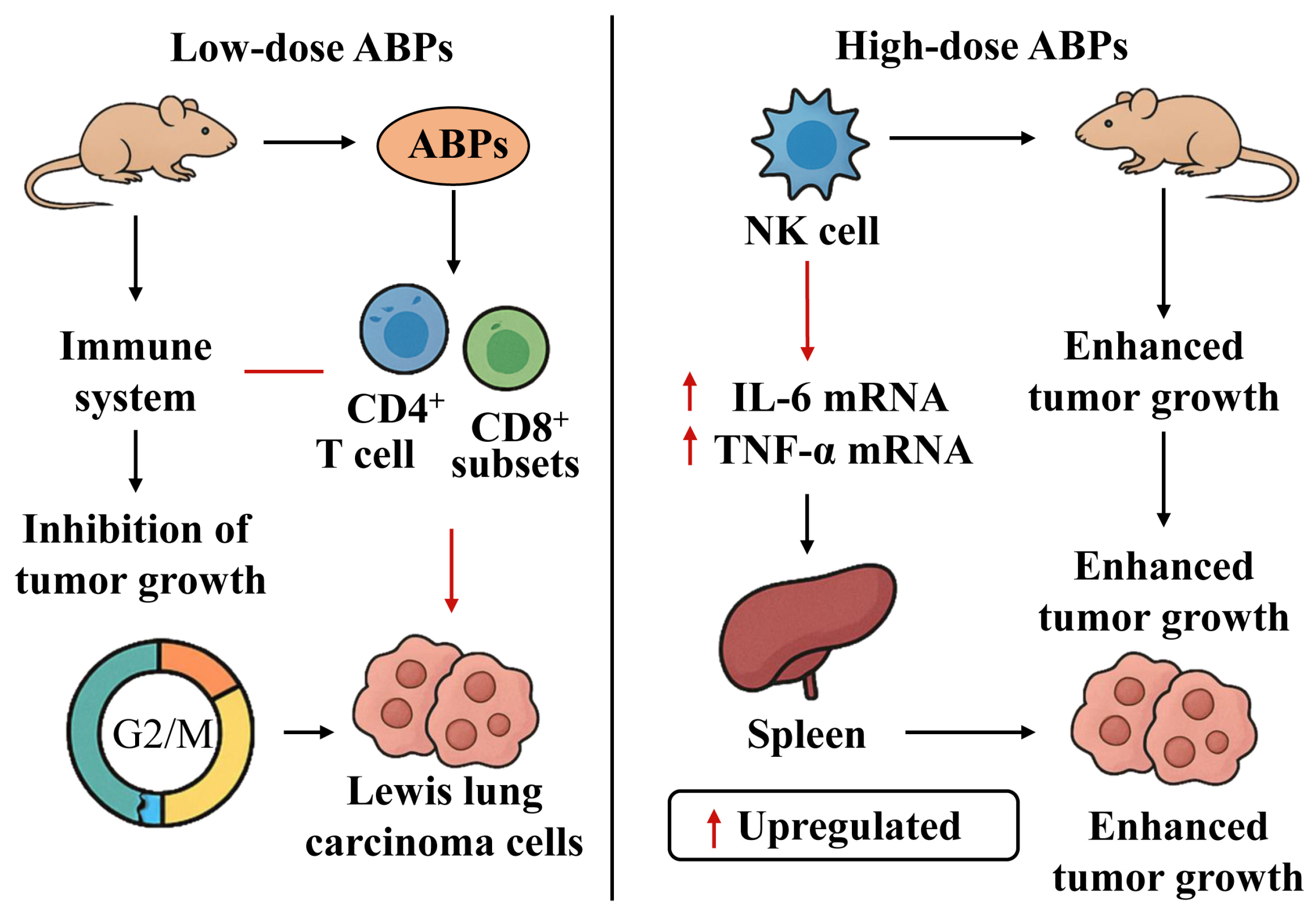 Molecules 30 02523 g005