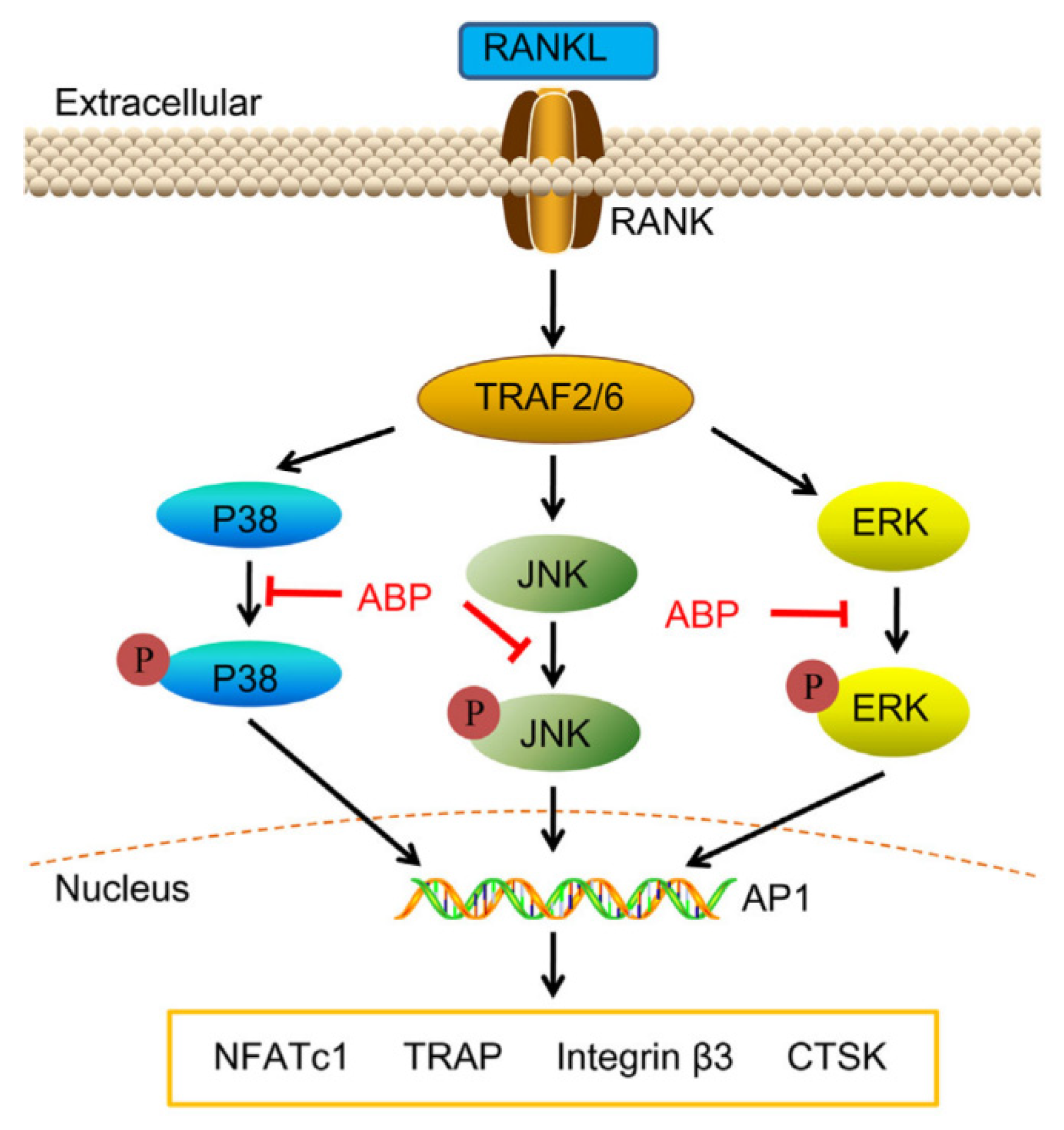 Molecules 30 02523 g006