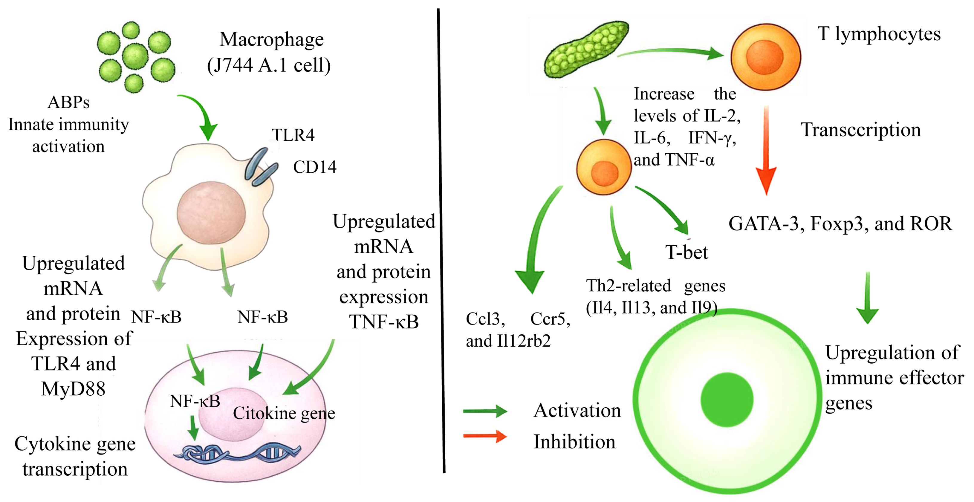 Molecules 30 02523 g007