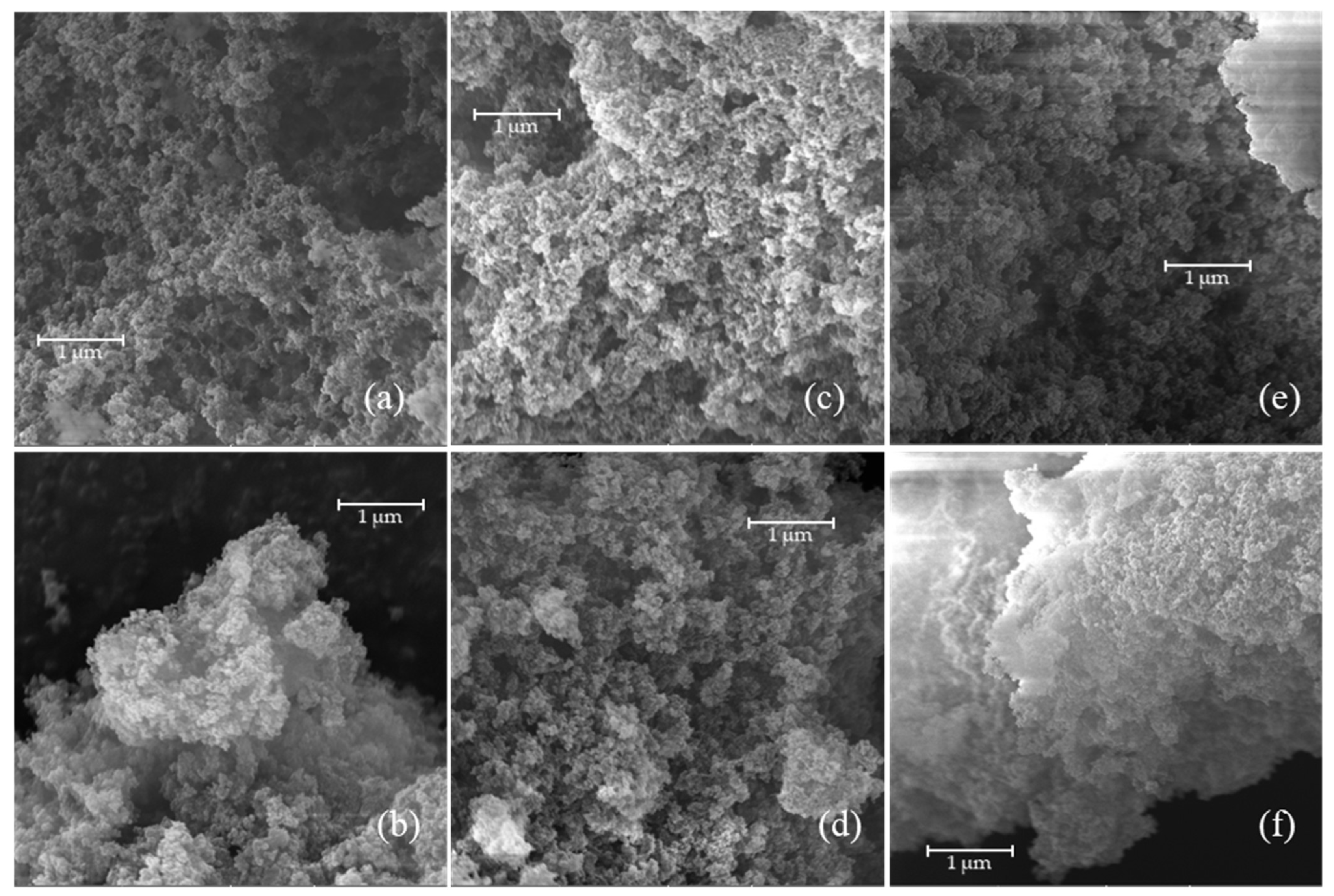 Molecules 30 02533 g012