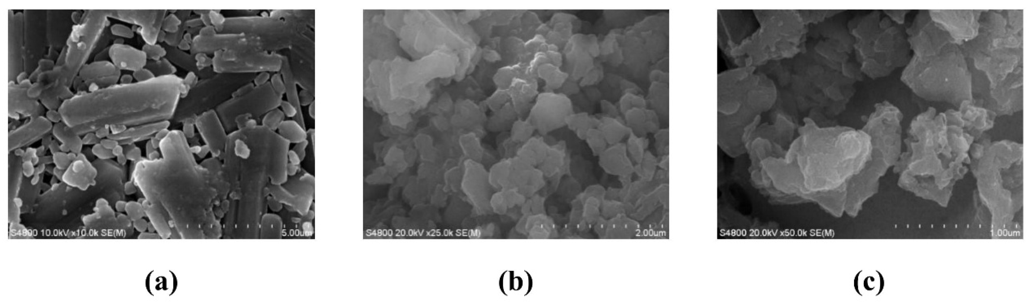 Molecules 30 02536 g001