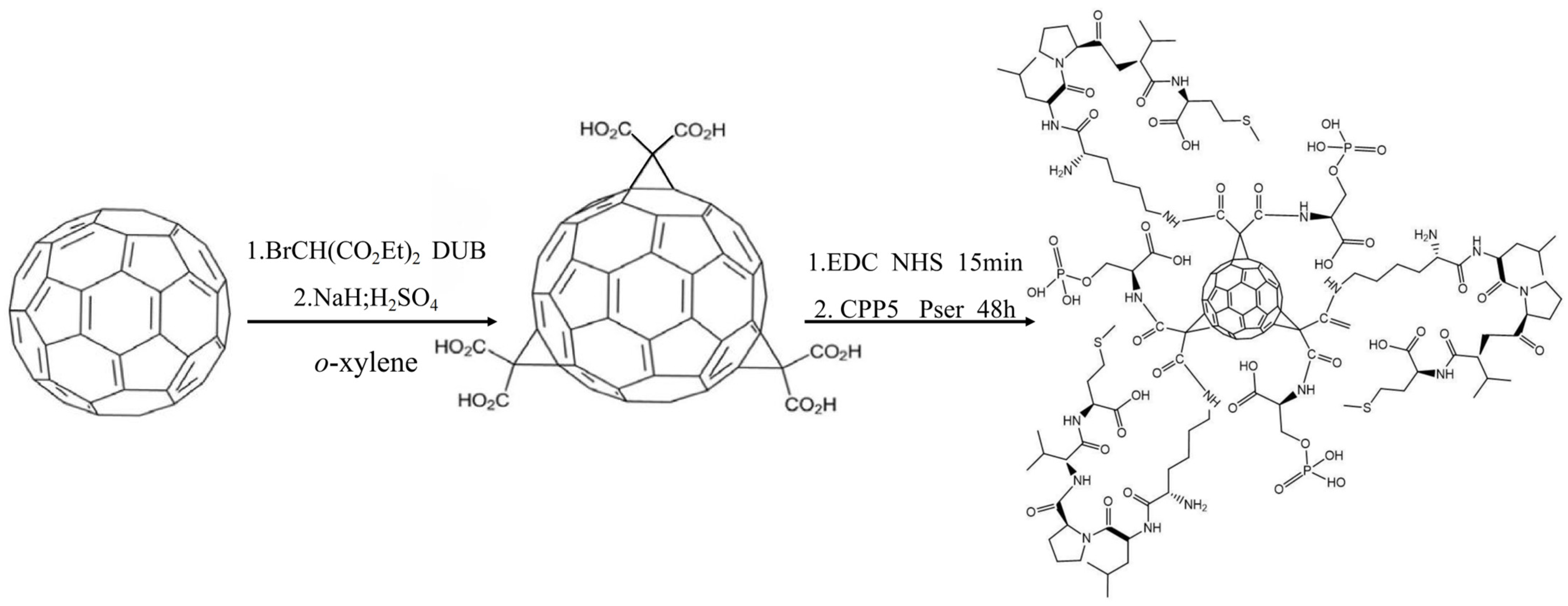 Molecules 30 02536 g013