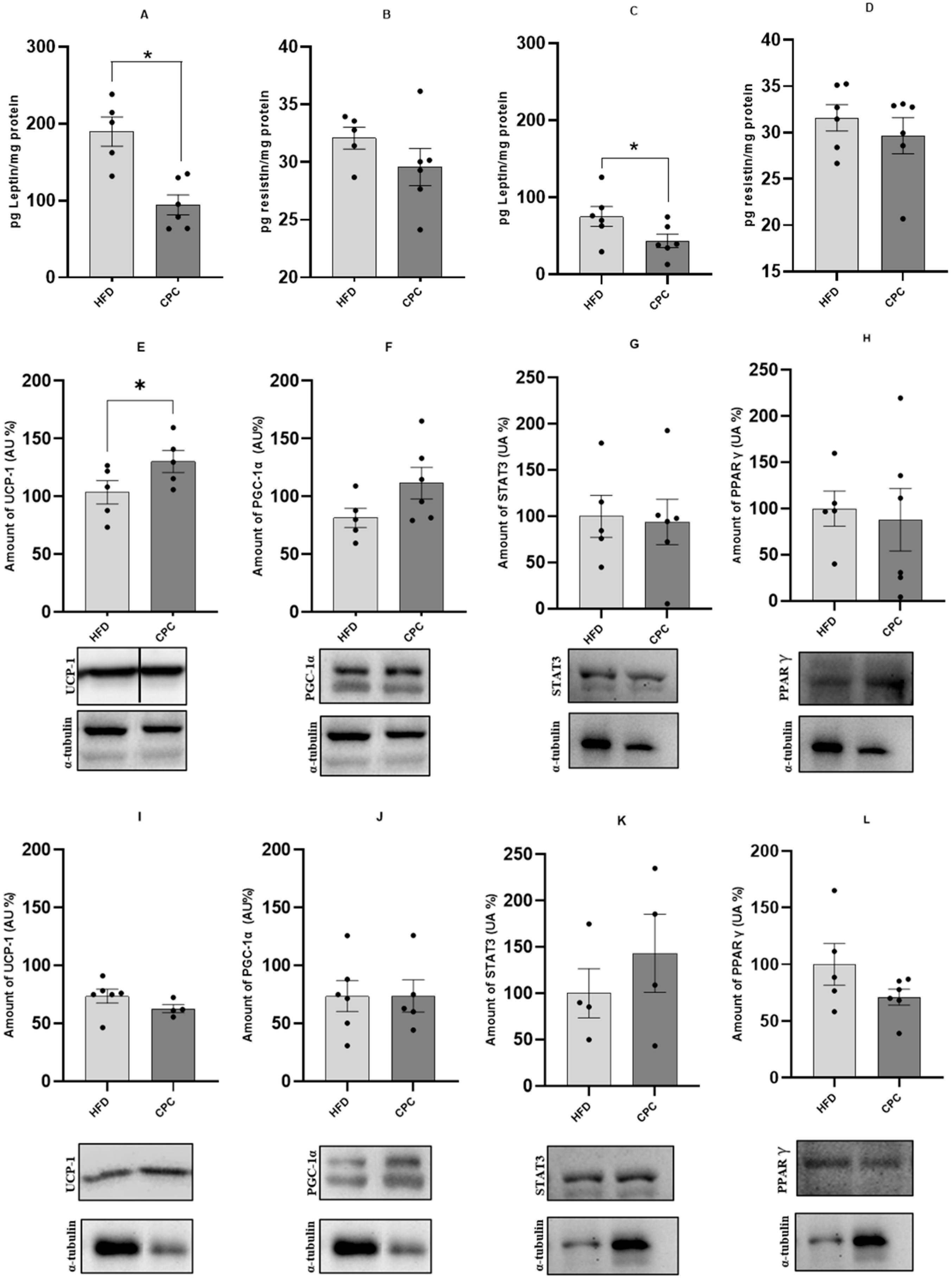 Molecules 30 02537 g002