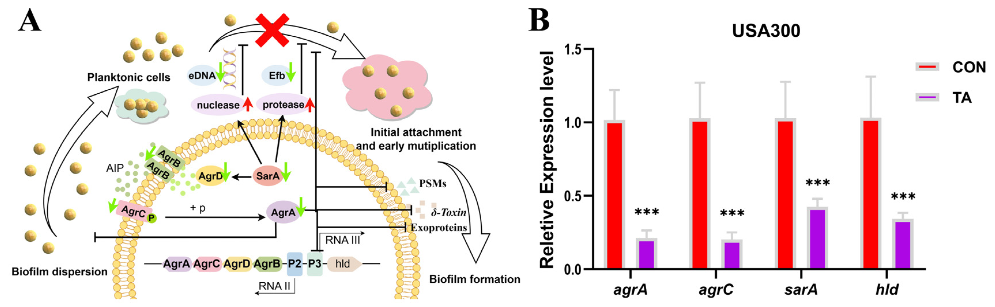 Molecules 30 02539 g004